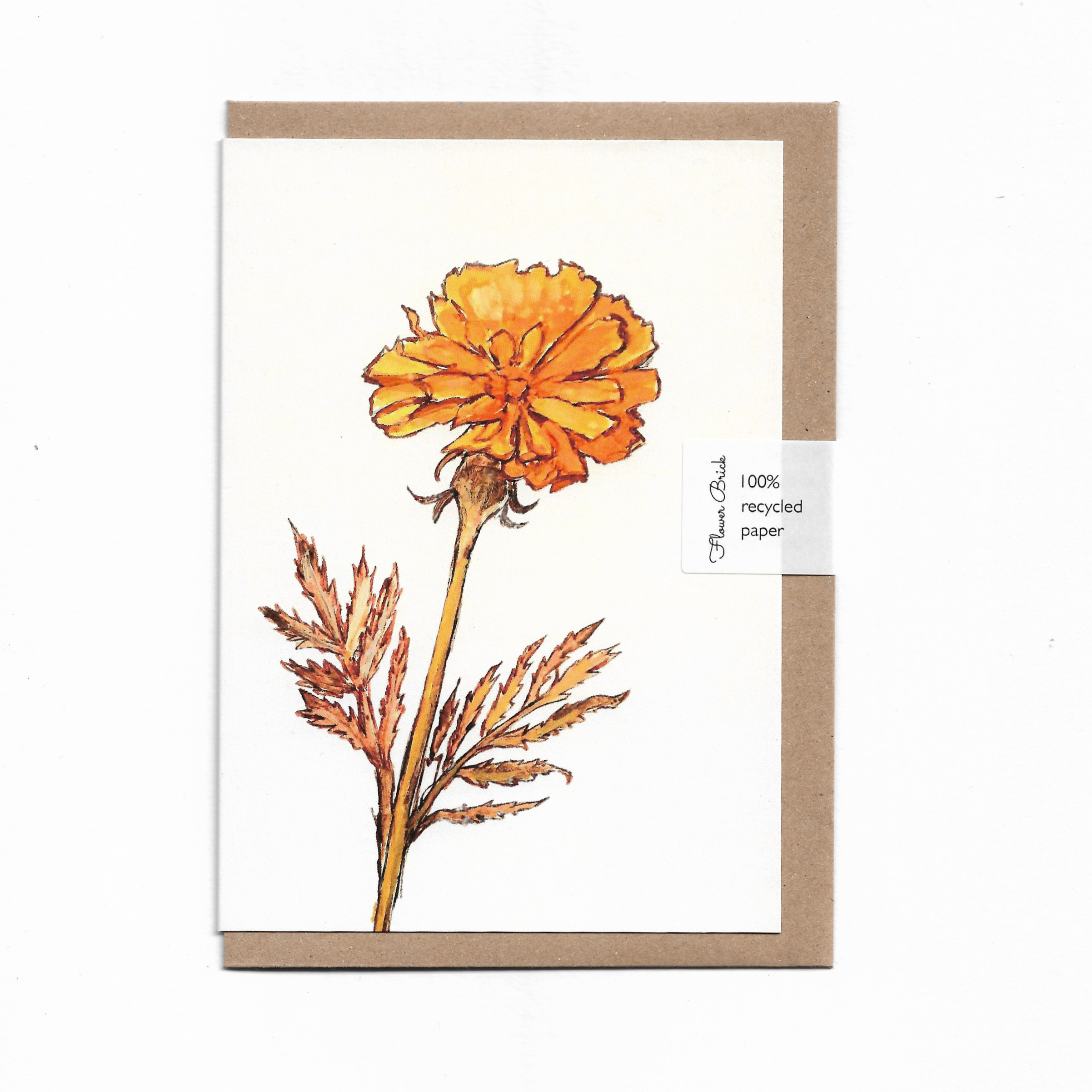 1. Marigold.png