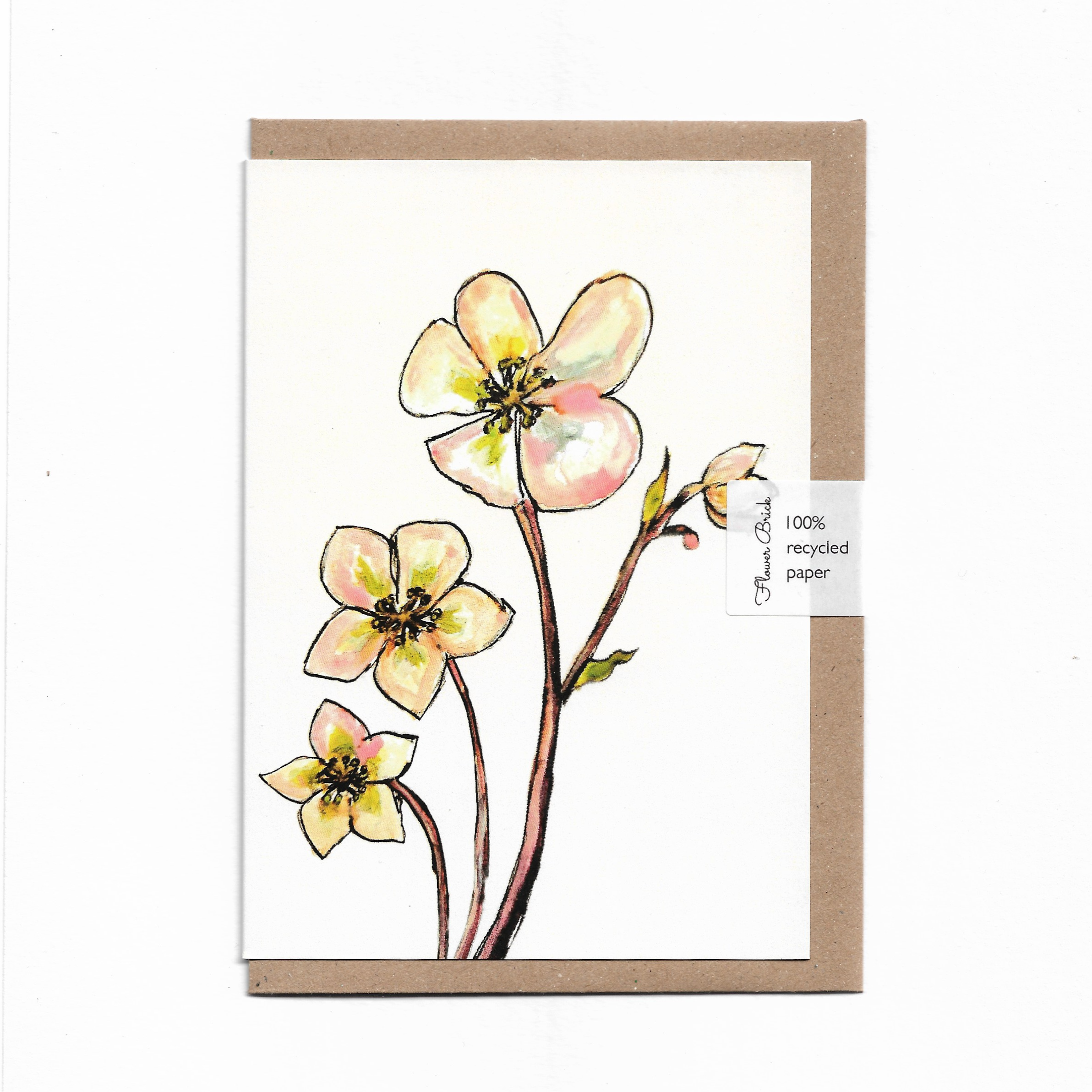 1. Hellebores.png
