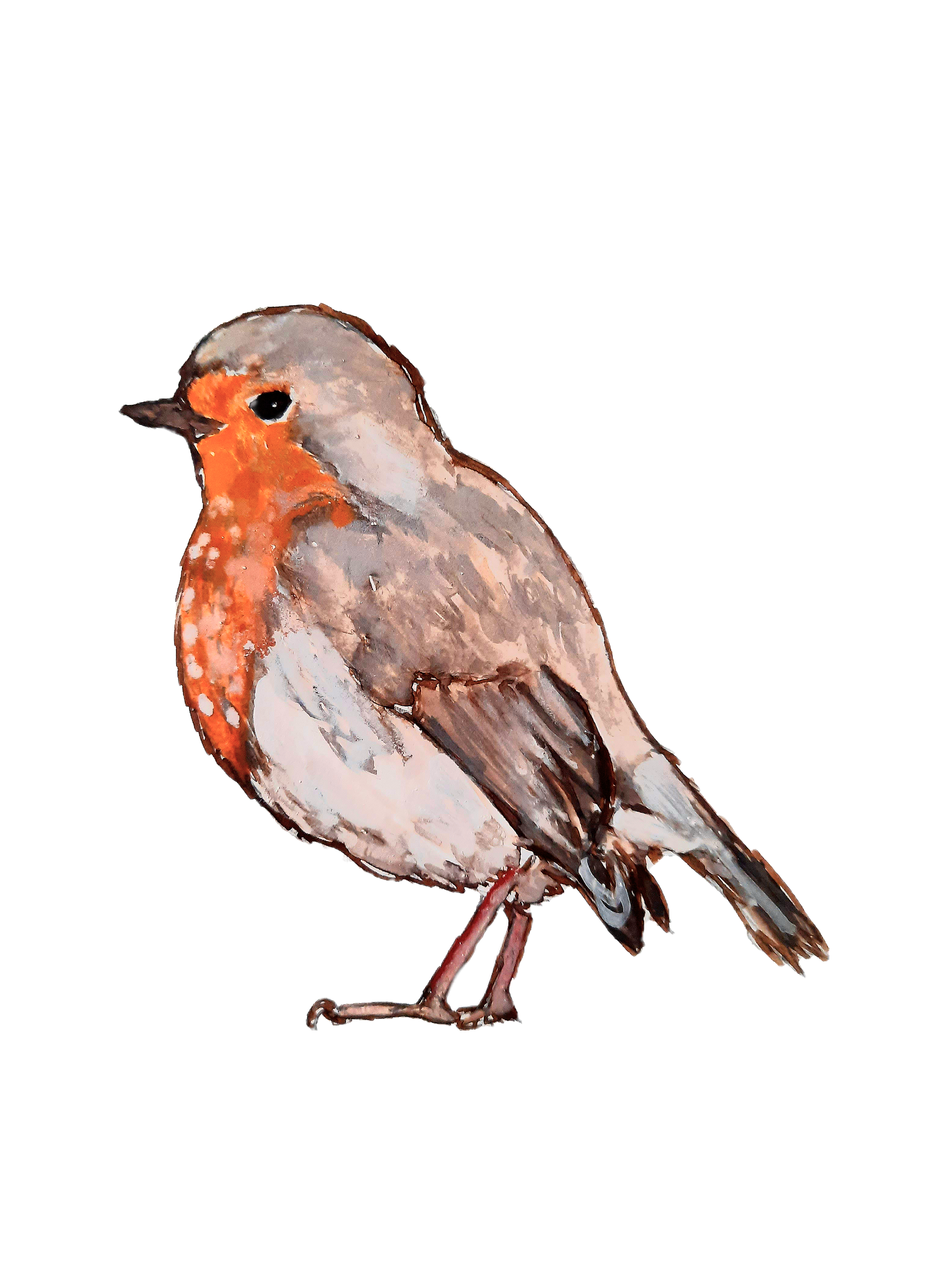 Robin Design.png