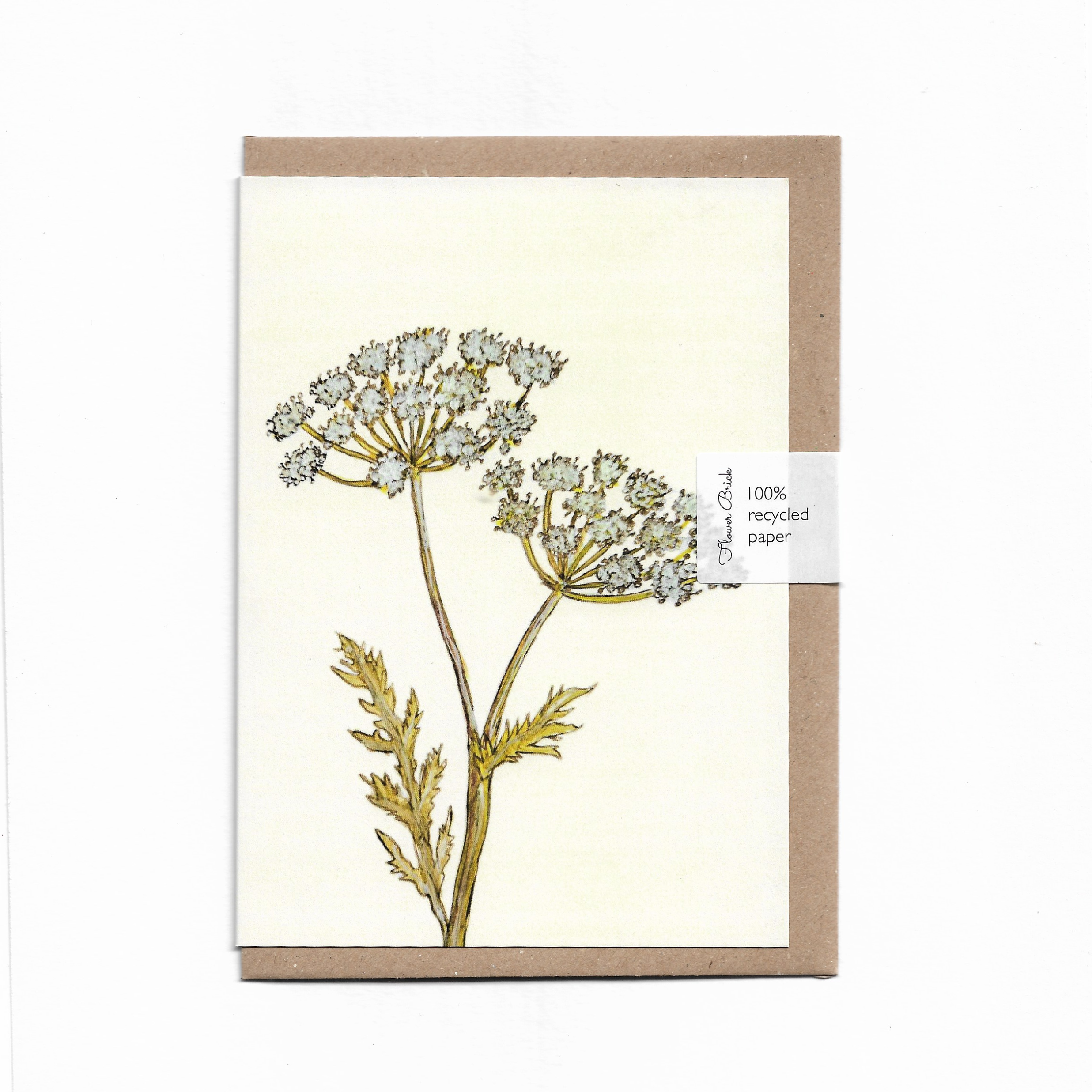 A6 100% Recycled "Cow Parsley" Greeting Card
