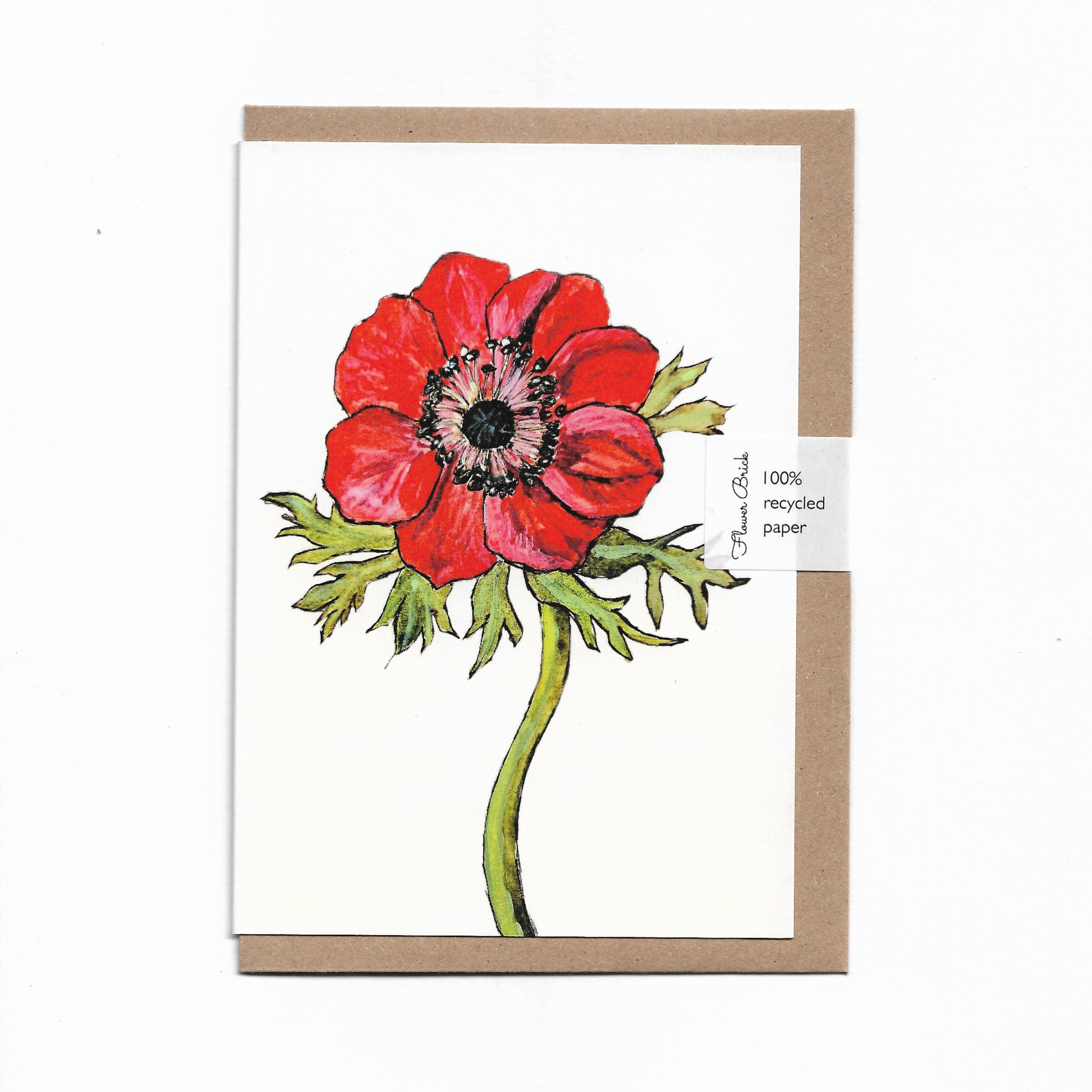 1. Red Anemone.png