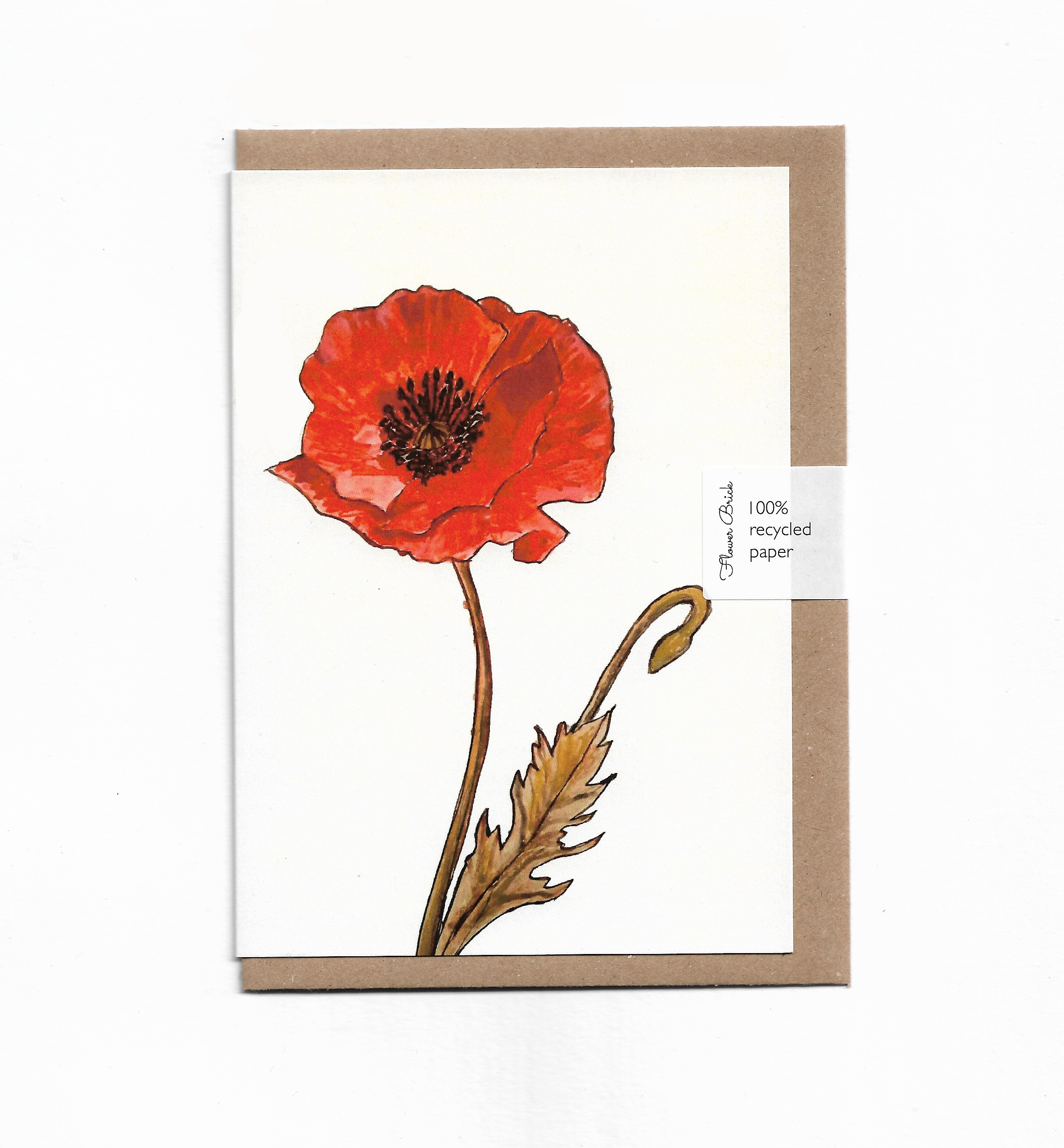 1.Poppy.png