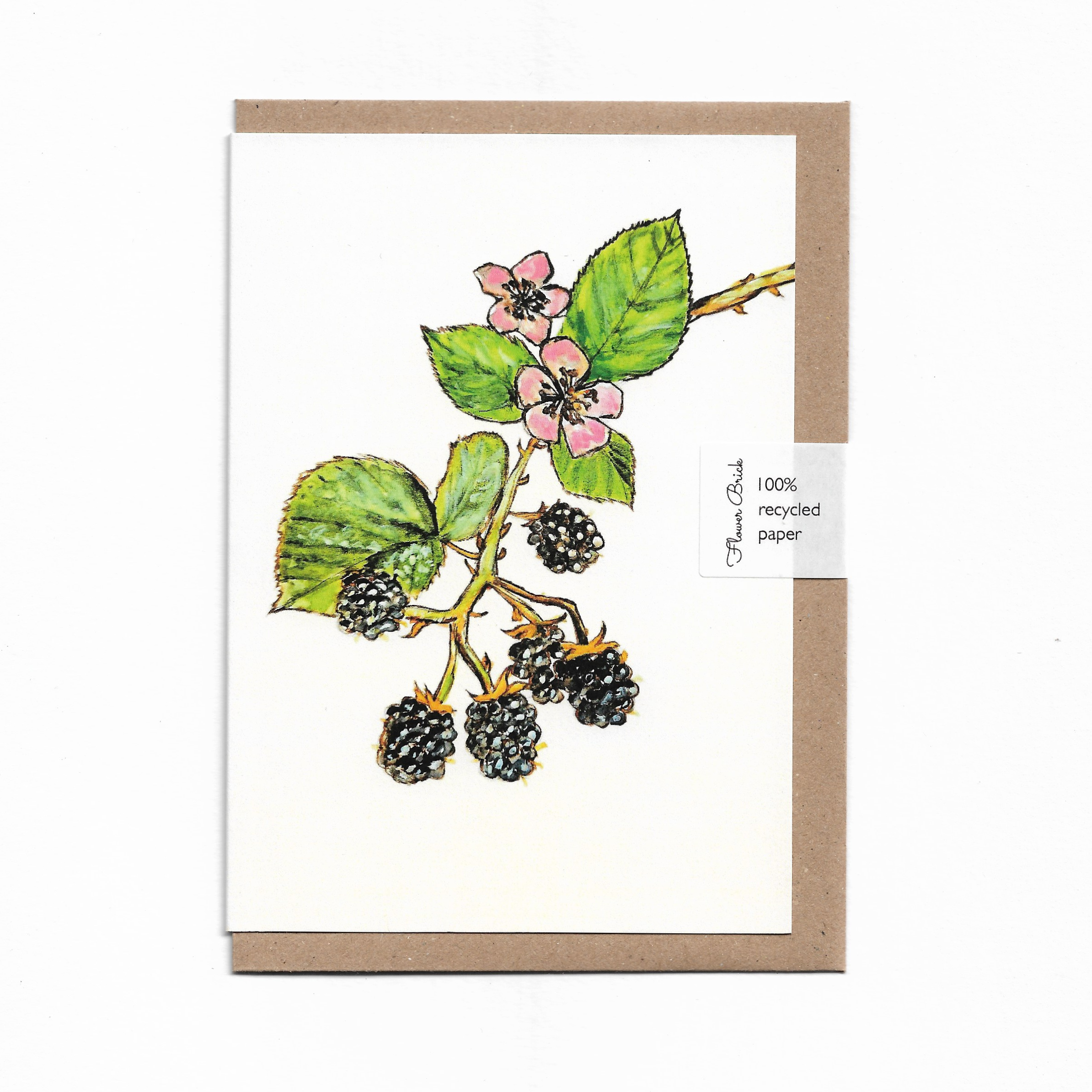 1. Blackberries.png