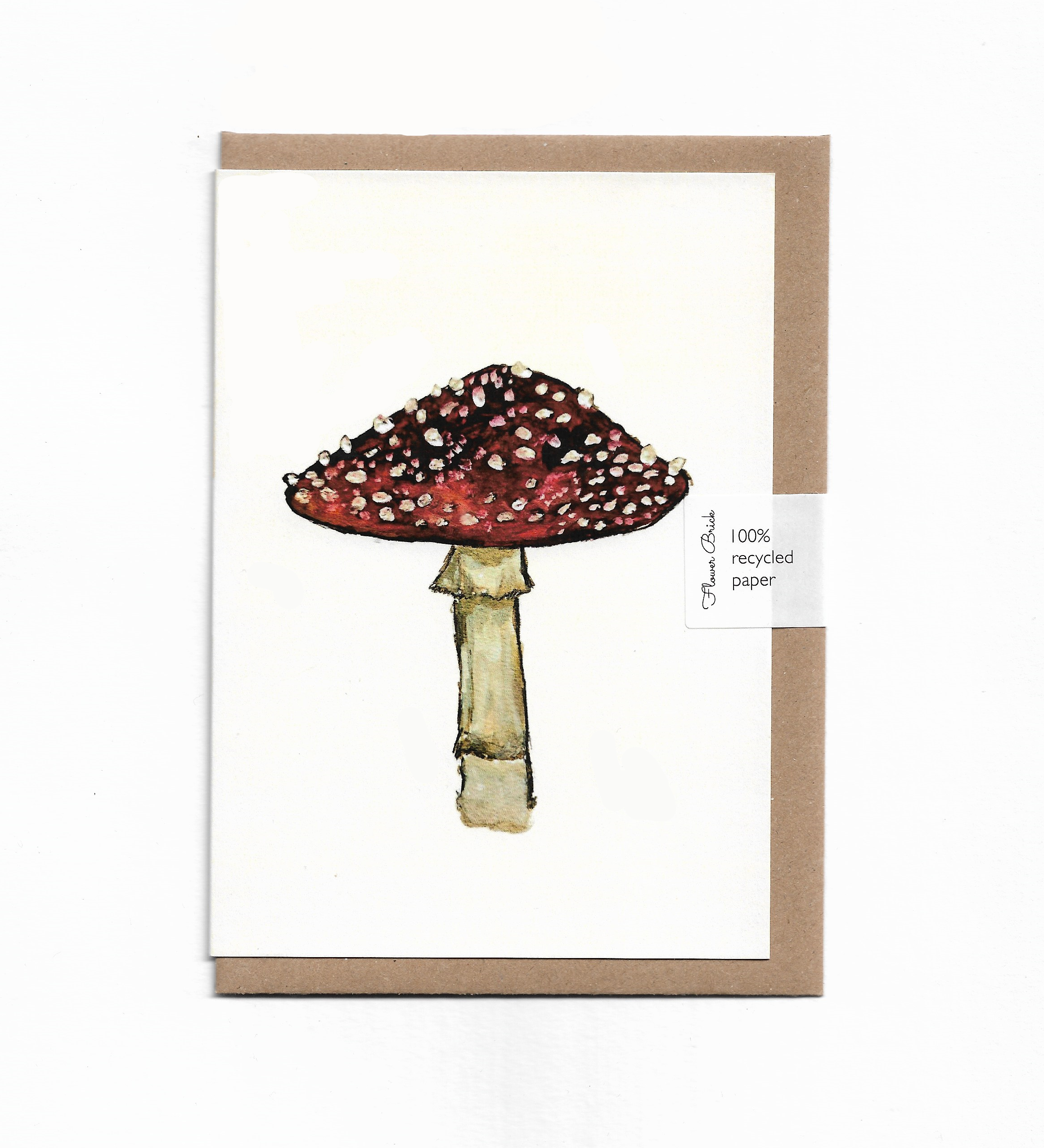 1.Toadstool.png