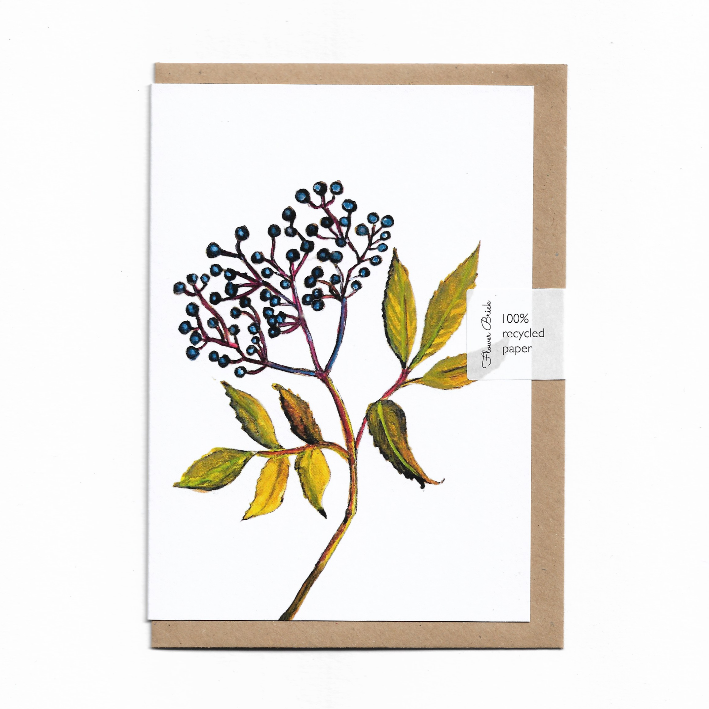 A6 100% Recycled "Elderberries" Greeting Card