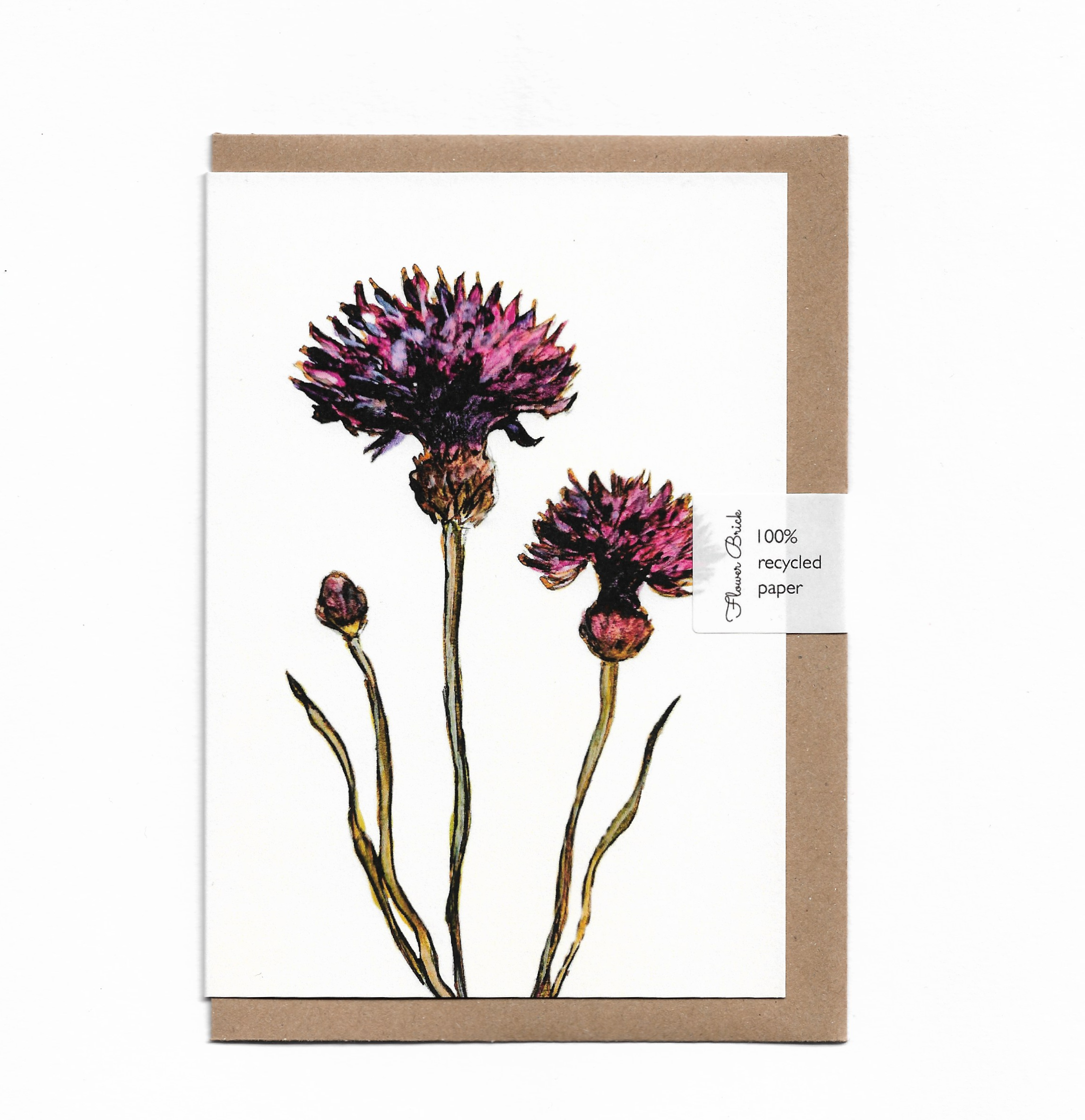 1. Purple Cornflowers.png