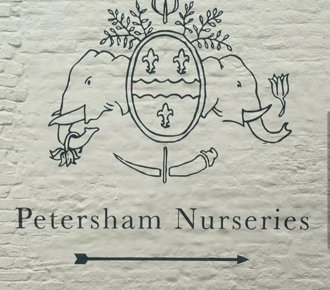 Petersham Wall.jpg