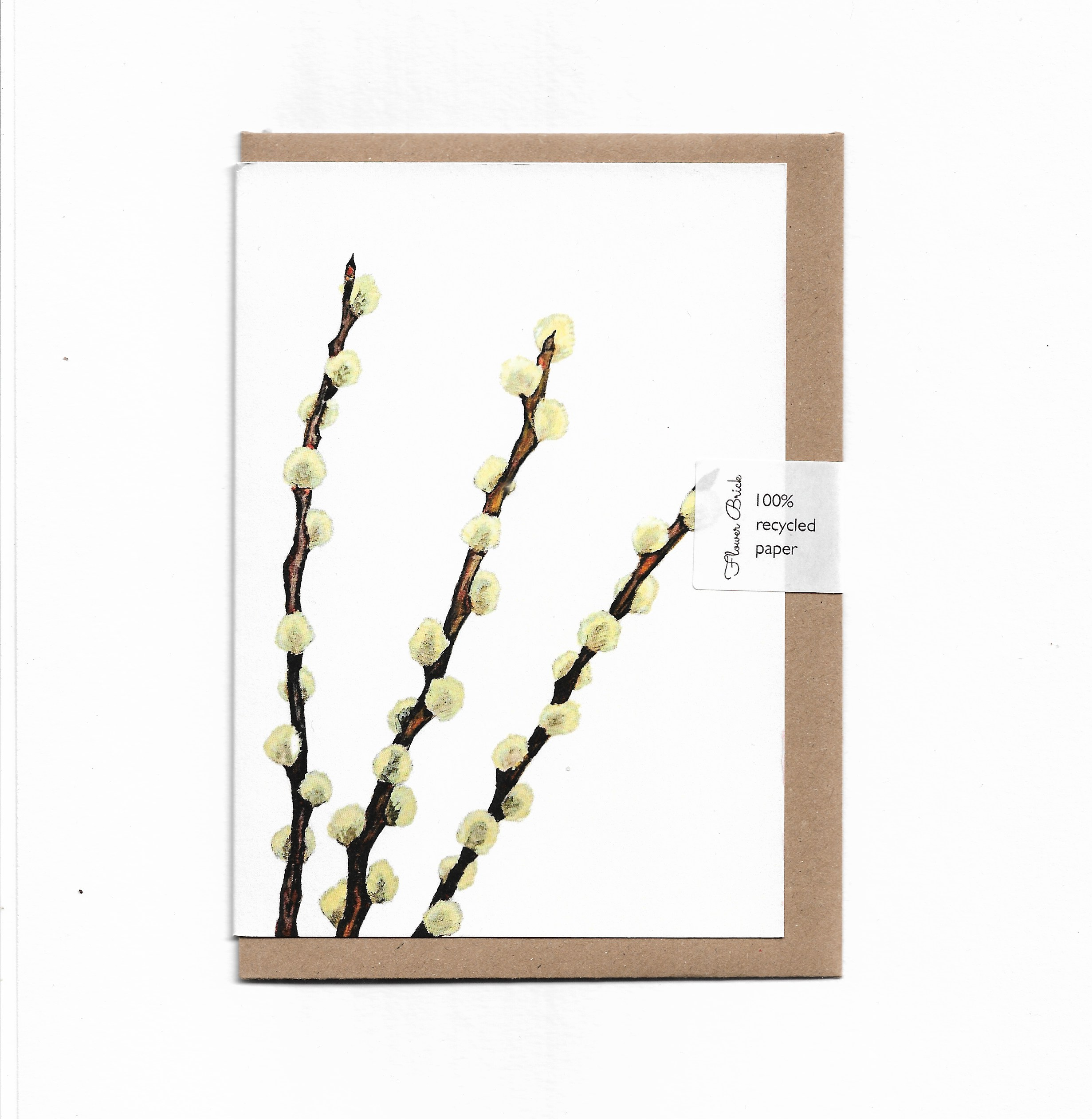1 Pussy Willow.png