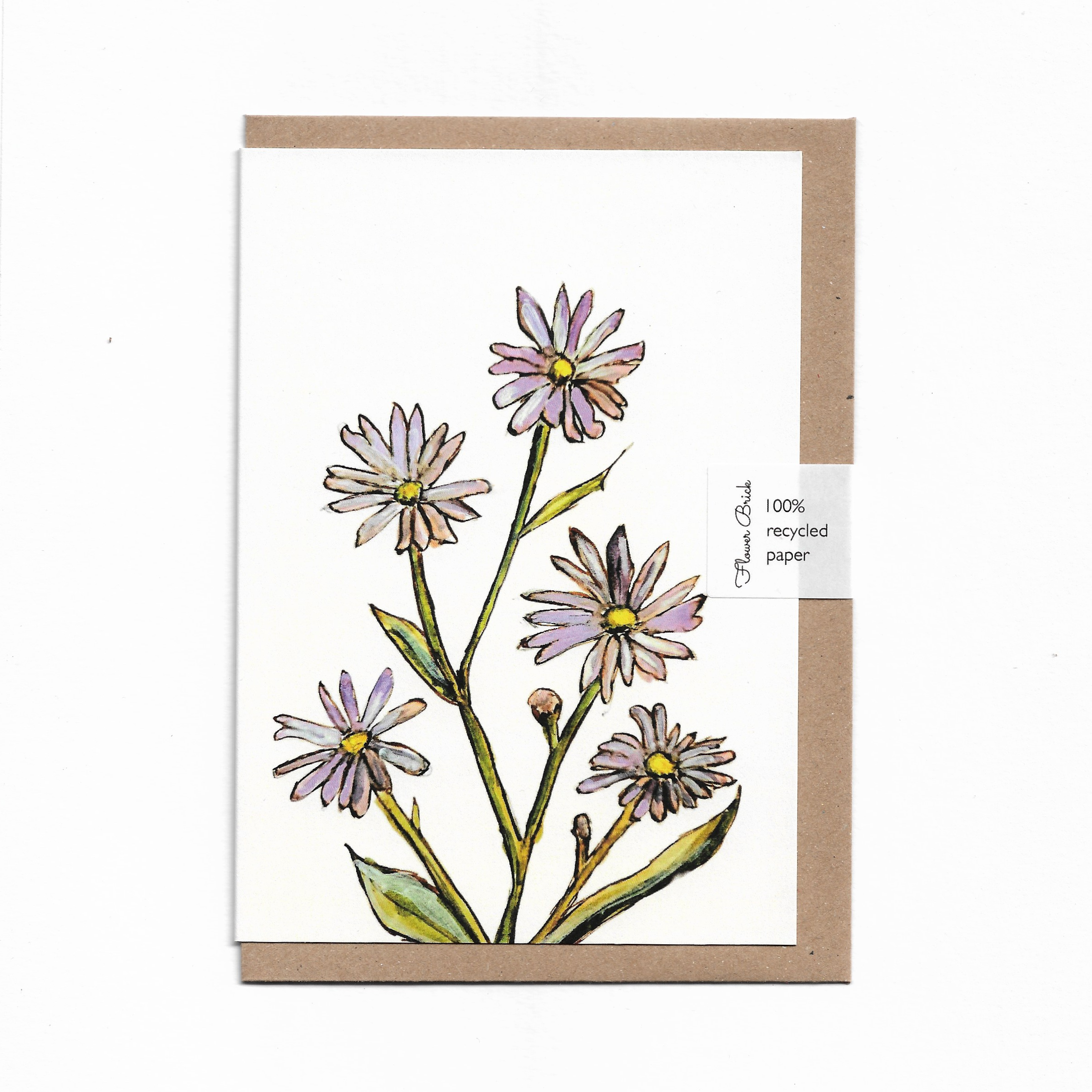 1. Asters.png