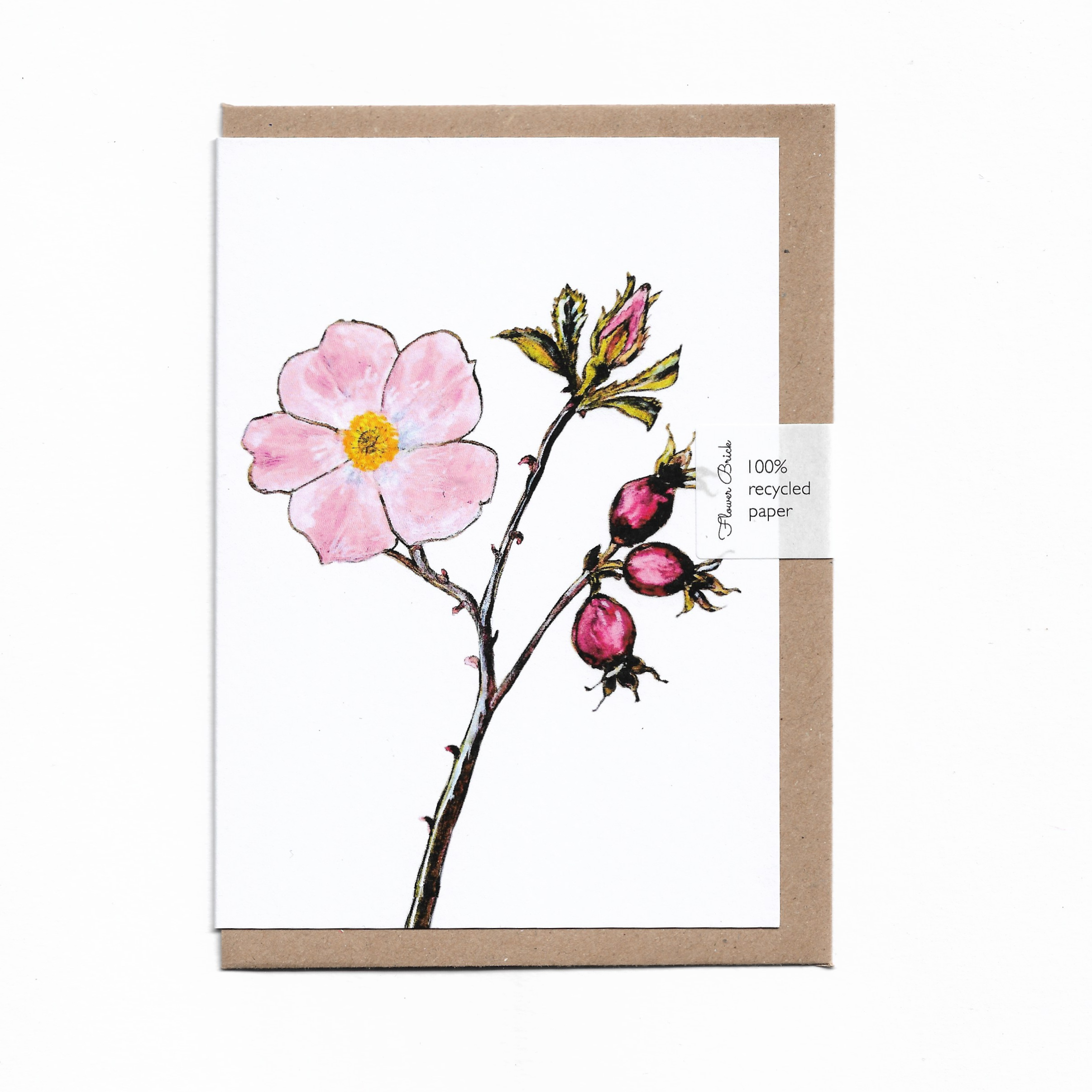 A6 100% Recycled "Dog Rose & Rose Hips" Greeting Card