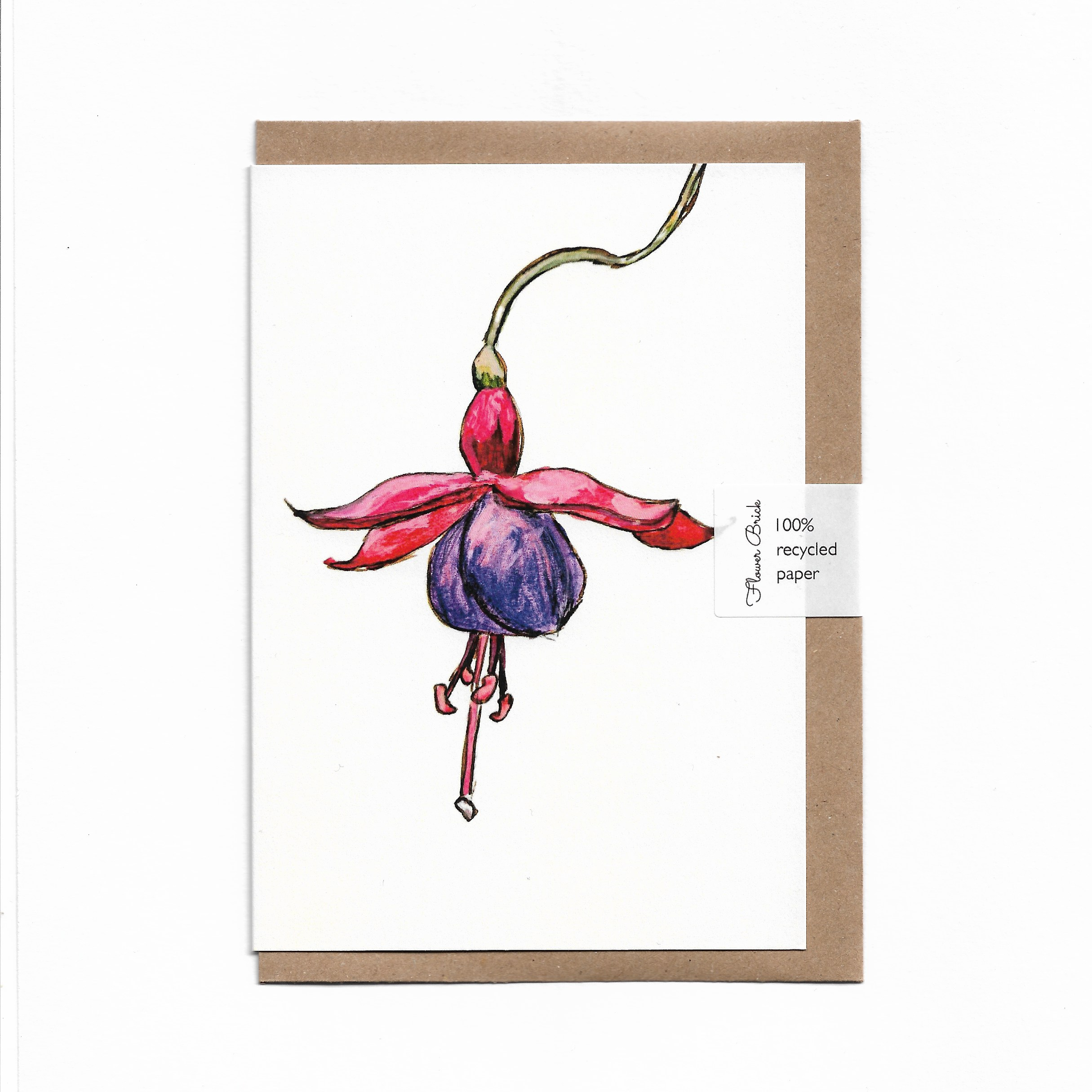 1 Fuchsia.png