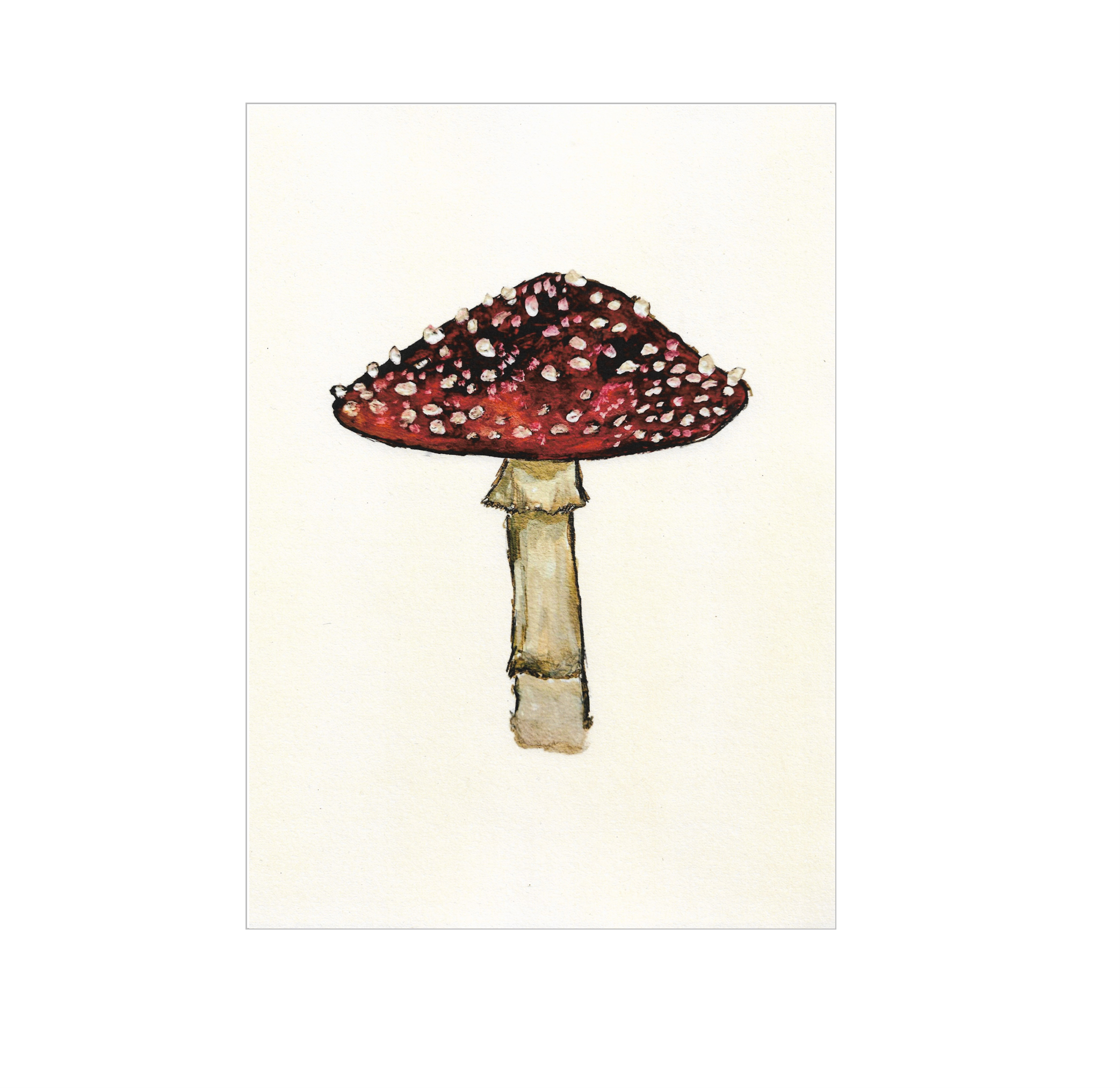 2 Toadstool Print.png