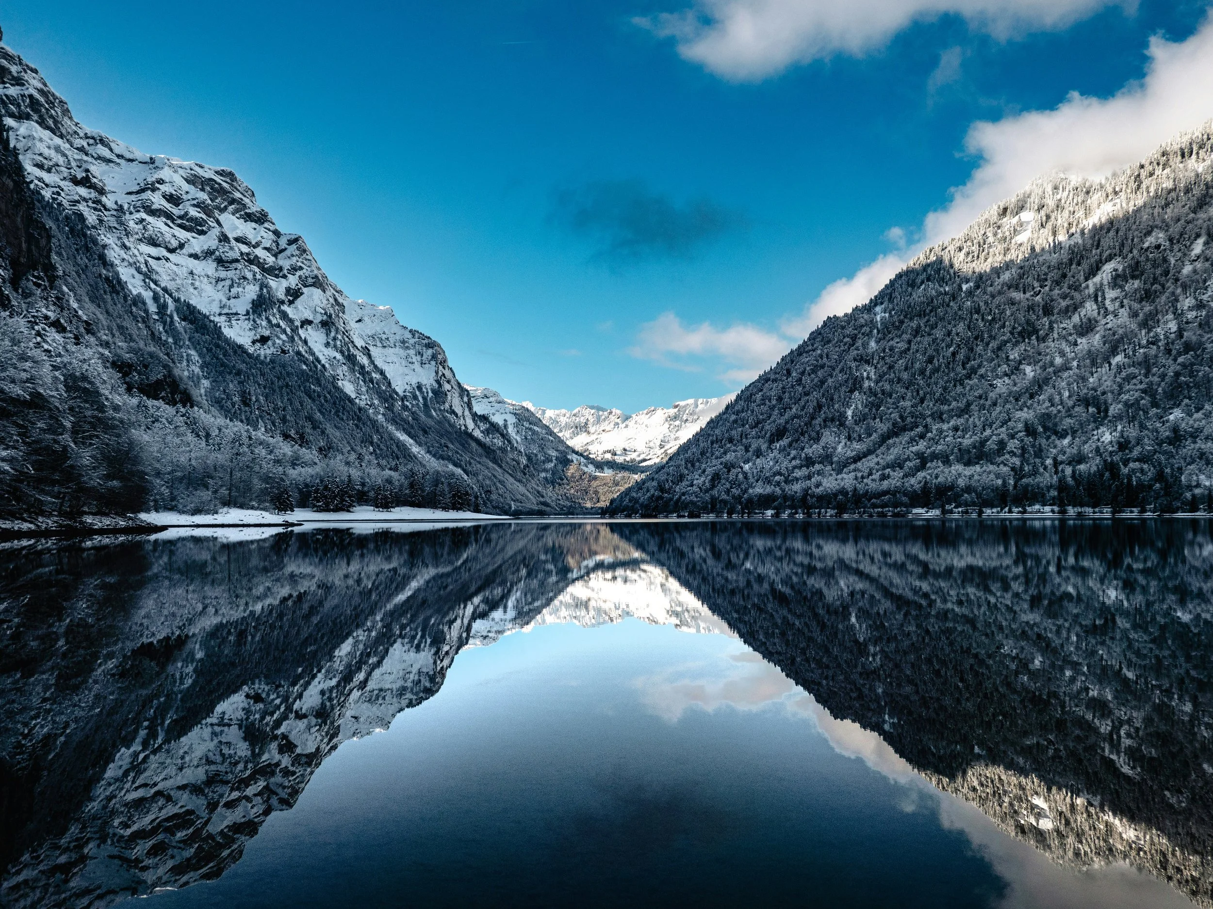 Year-Ahead Clarity Sessions