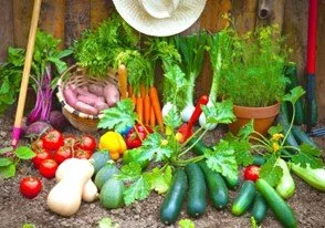 Garden Produce