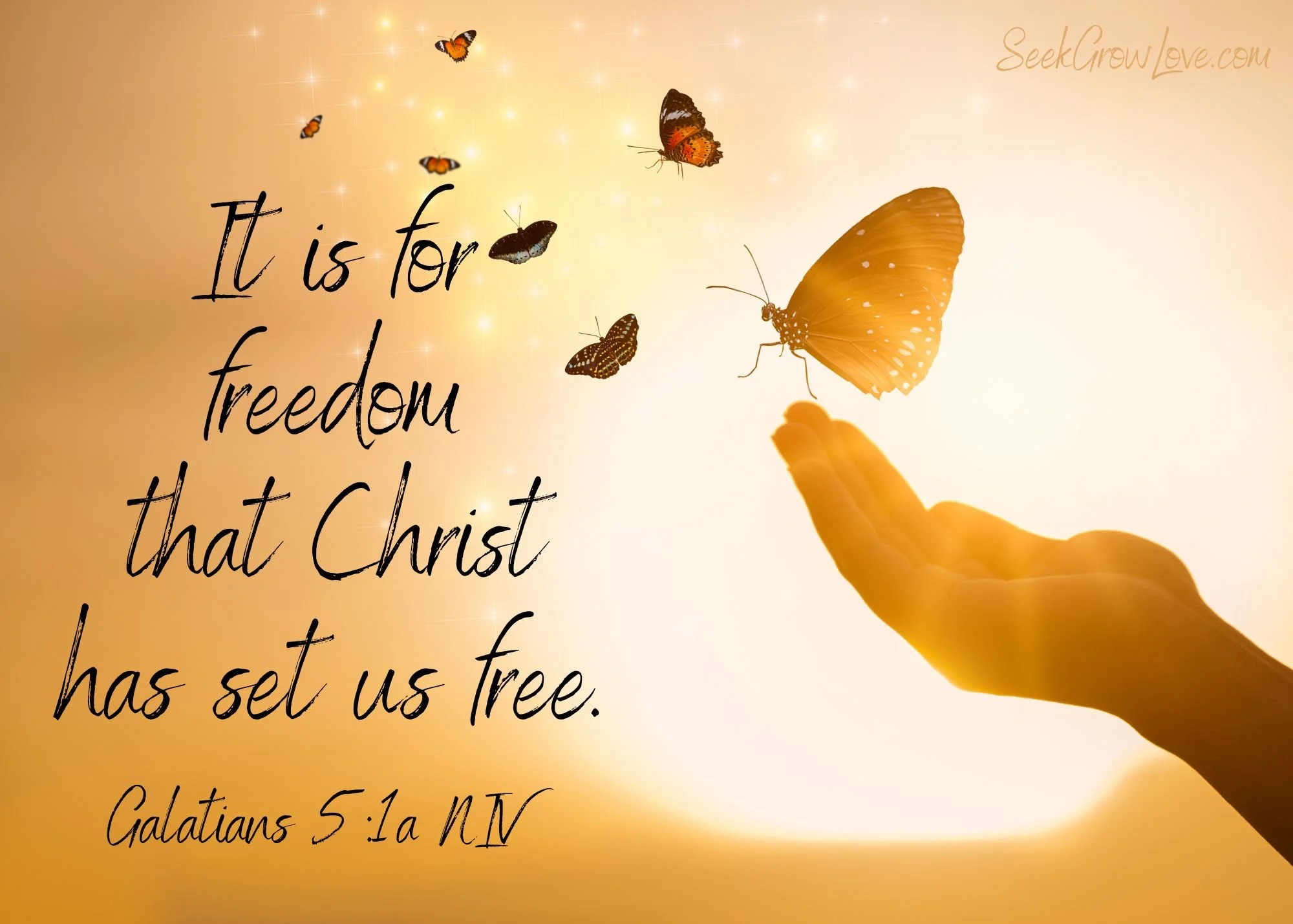 Freedom in Christ