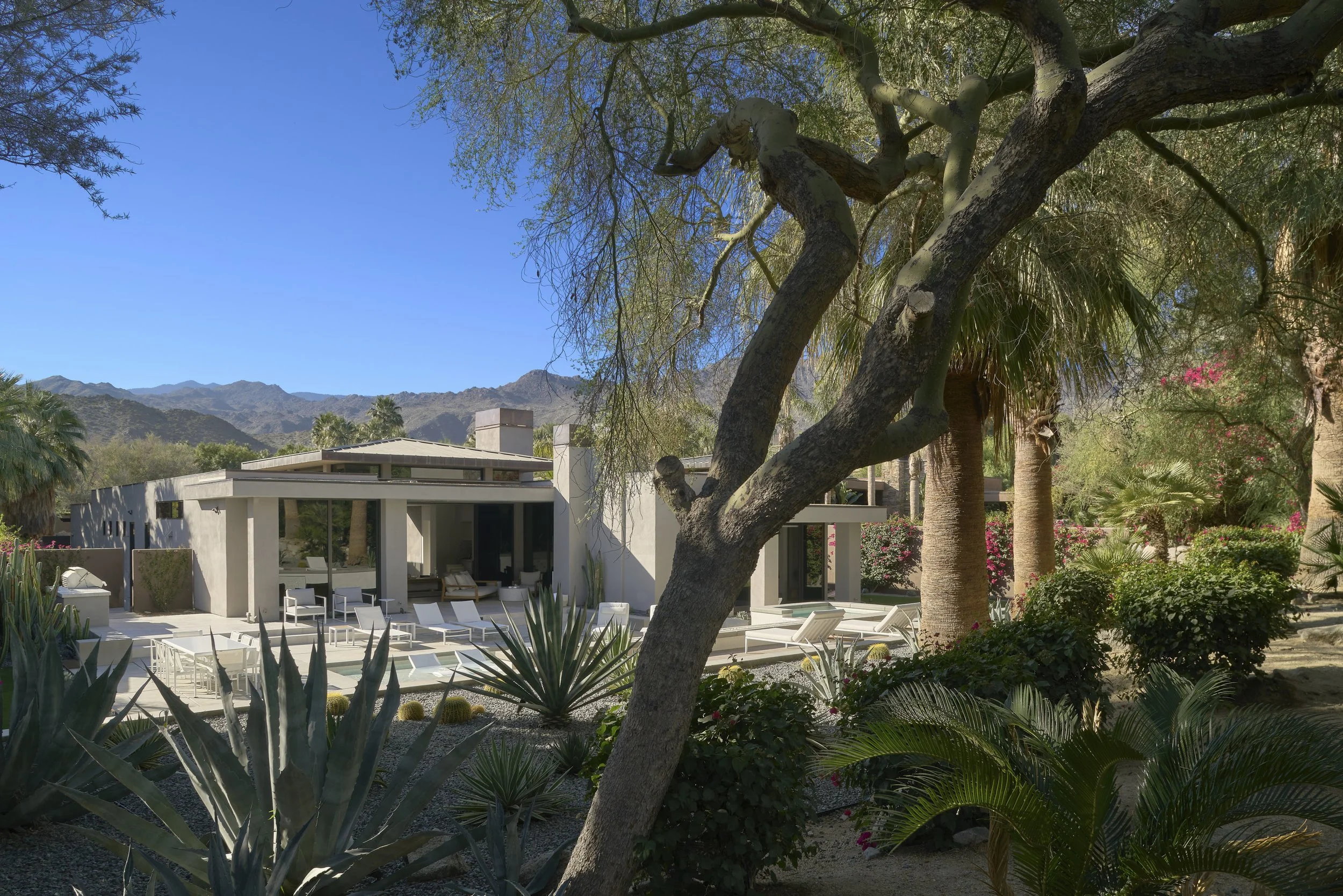Vista_Palm_Spring_SJC64423k.jpg