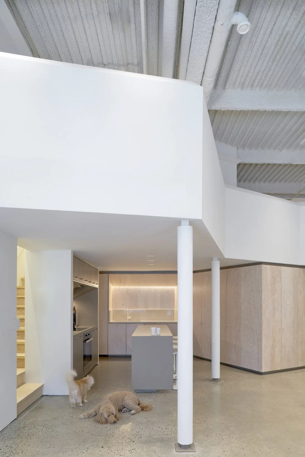 DJA-ARTloft_SJC5963ie.jpg