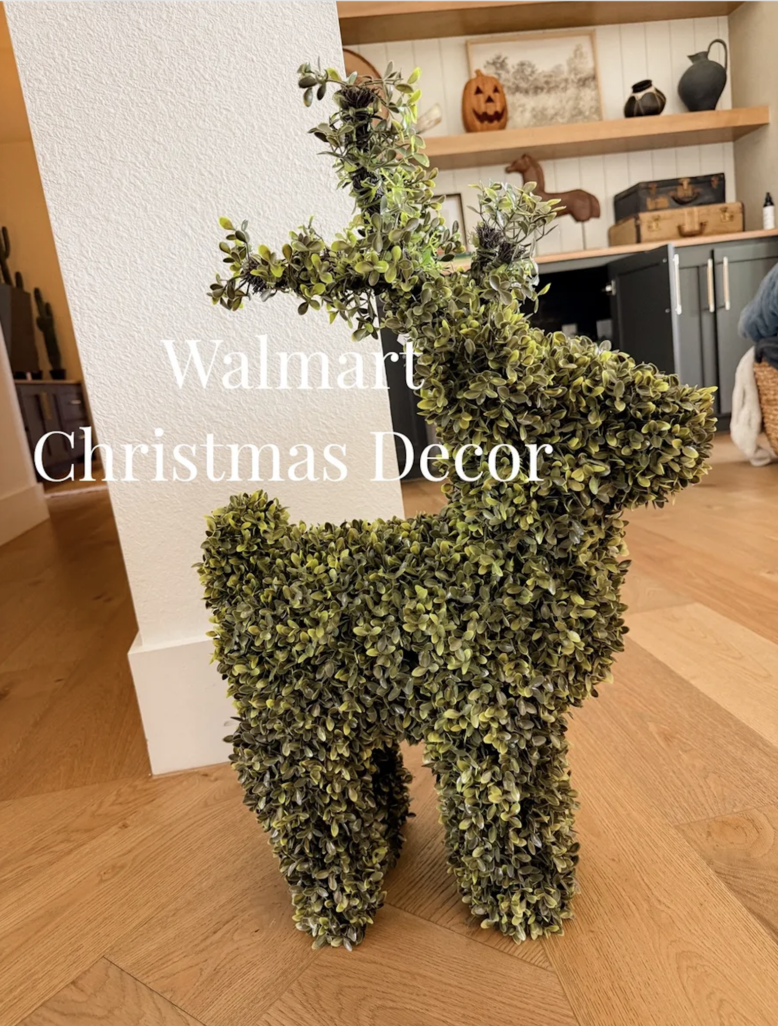 d22e7c8a-e4cc-cdfe-4f06-6e3c9dbc551f.png