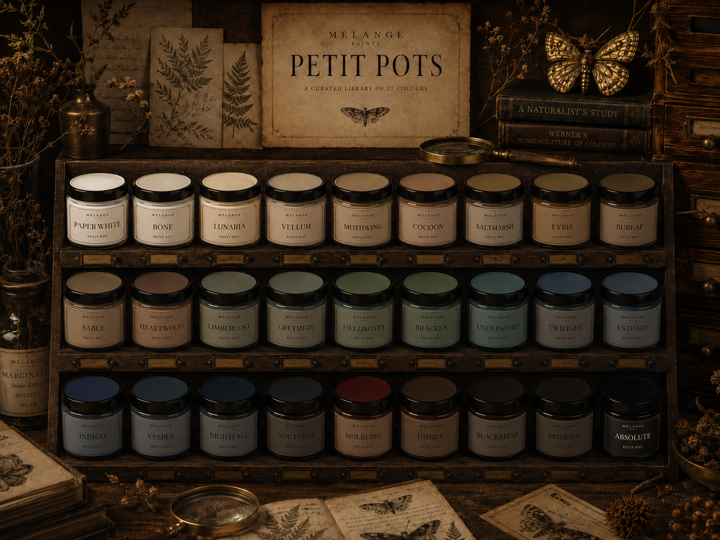 A vintage wooden display shelf holding glass jars of colorful paint labeled with names like Paper White, Bone, Lunaria, Vellum, Mothwing, Cocoon, Saltmarsh, Eyrie, Burlap, Sable, Heartwood, Limberlost, Greymere, Fieldnotes, Bracken, Understory, Twilight, Estuary, Indigo, Vesper, Nightfall, Nocturne, Mulberry, Umber, Blackbriar, Primeval, and Absolute. The background features botanical illustrations, old books, a butterfly, and dried flowers, creating a warm, antique aesthetic.