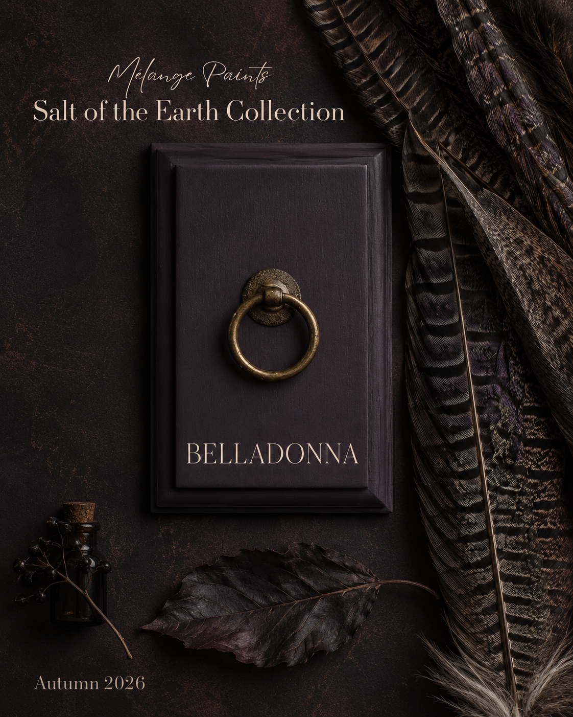 Belladonna Paint in an Autumn Apothecary Flat Lay.png