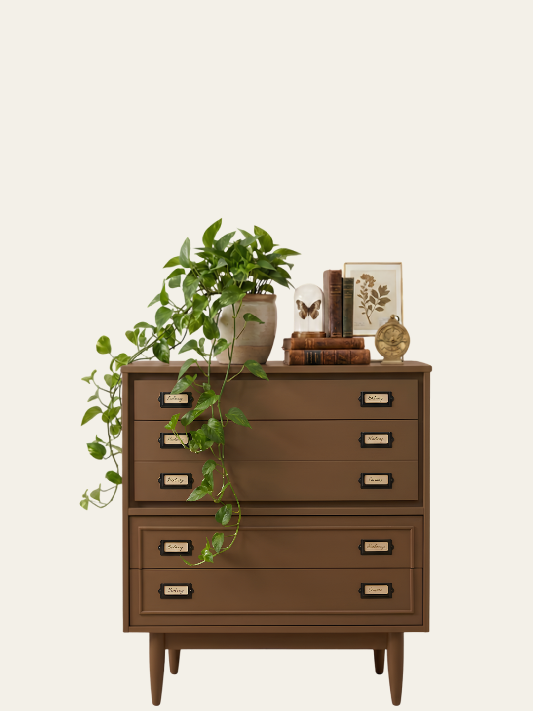Vintage apothecary cabinet styled with botanical specimens and naturalist décor painted in Mélange Paints Eyrie, a warm caramel brown.