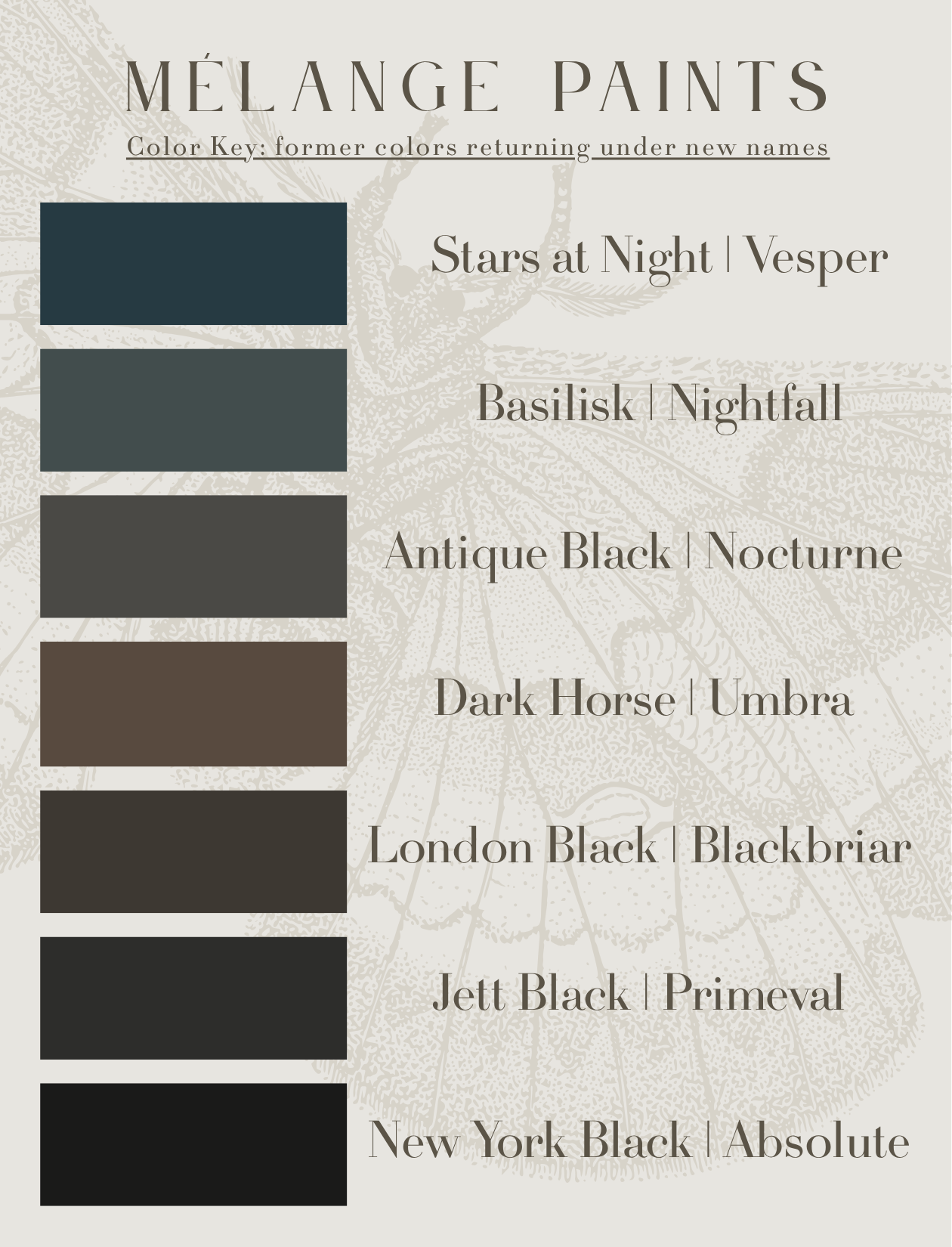 A color palette chart titled 'Mélange Paints' showing five different shades with corresponding names: Stars at Night, Basilisk, Antique Black, Dark Horse, London Black, Jett Black, and New York Black.