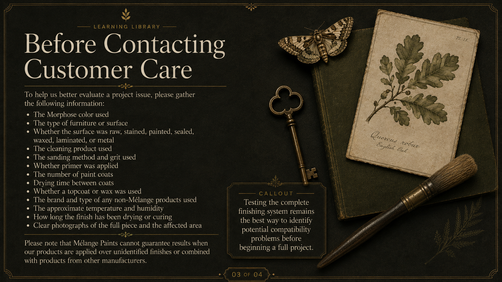 Instruction sheet titled 'Before Contacting Customer Care' with a decorative background, featuring a butterfly, a key, a book, a plant illustration on a card labeled 'Quercus robur', and a paintbrush.