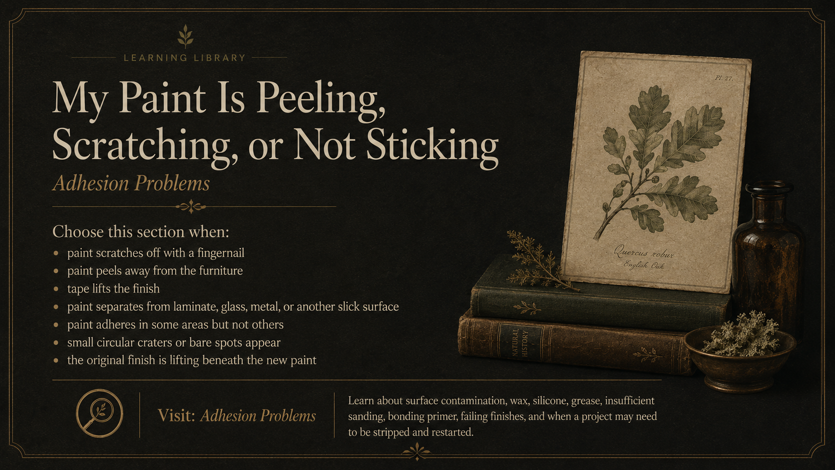A detailed guide from a learning library about adhesion problems such as peeling, scratching, or not sticking paint, with a list of situations to choose this section and a decorative arrangement of vintage books and botanical prints on the right.