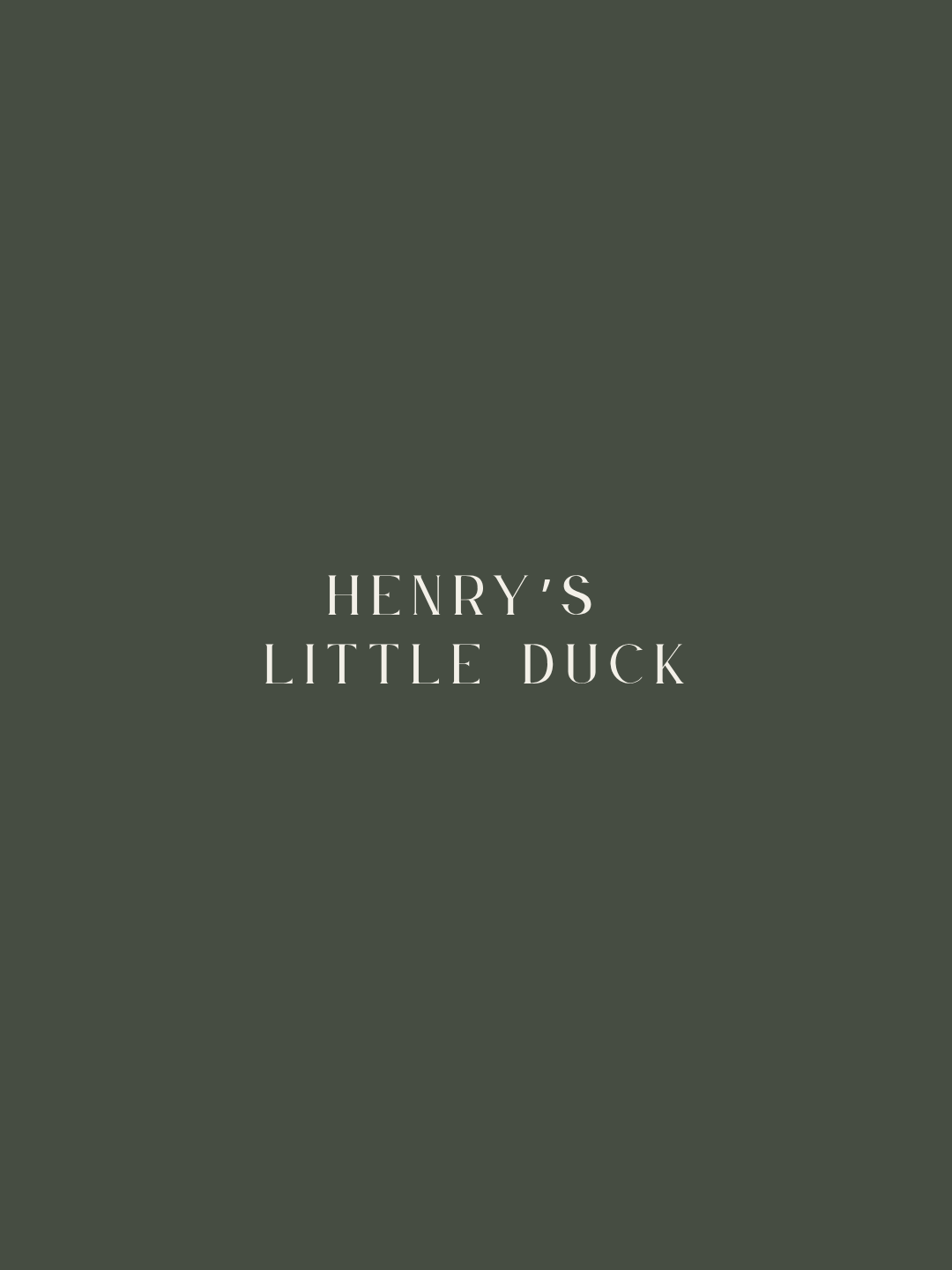 melange-paints-henry's-little-duck.png