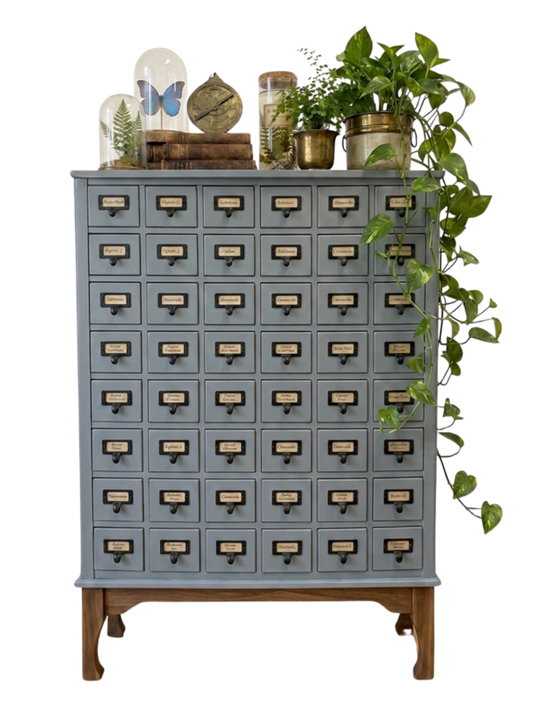 Vintage card catalog cabinet painted in Marginalia by Mélange Paints, styled with plants and collected curiosities in a naturalist-inspired interior.