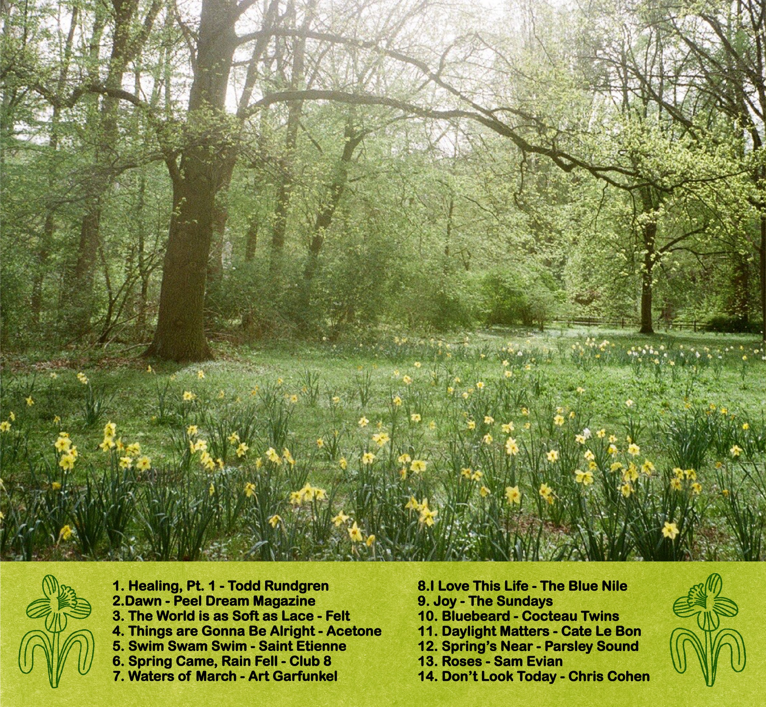 Untitled - 19 March 2026 14 01 Artboard 1 (1).JPG