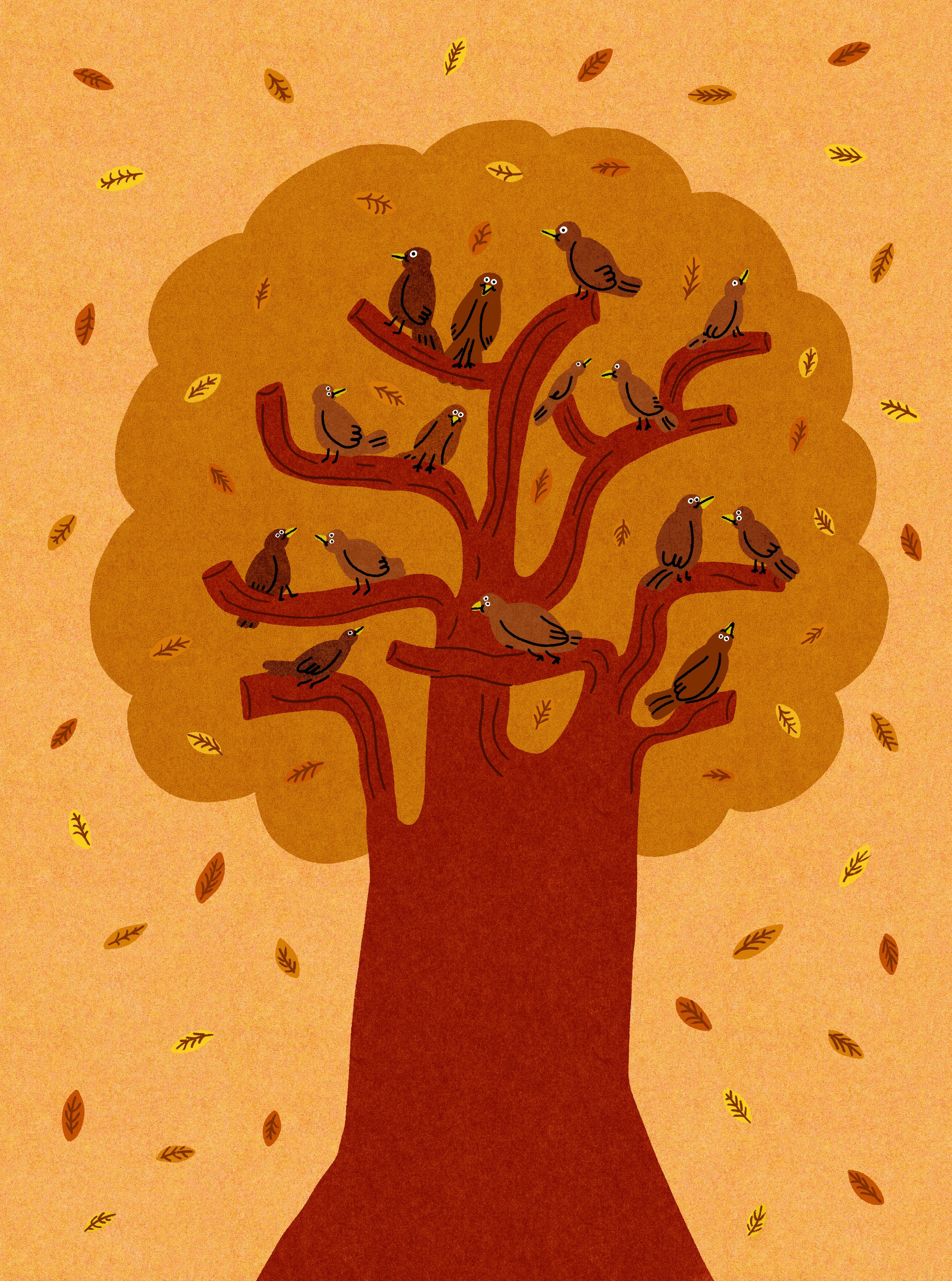 birds.jpg