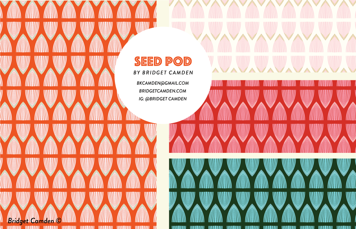 Seed-POd-shield-pattern-2-Bridget-Camden-award-winning-.gif