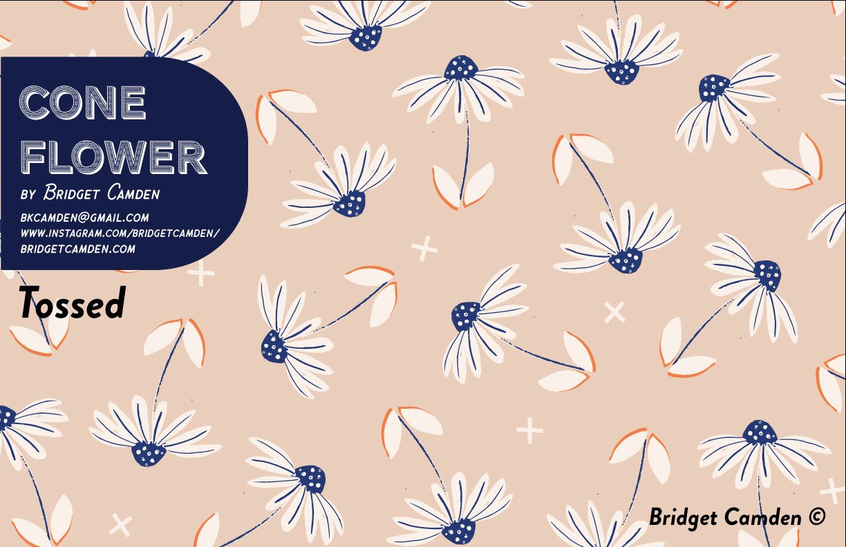 Cone-Flower-Tossed-Bridget-Camden-.jpg