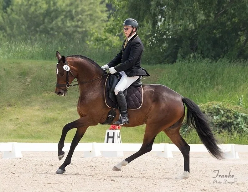 Ken Borden Dressage Clinic