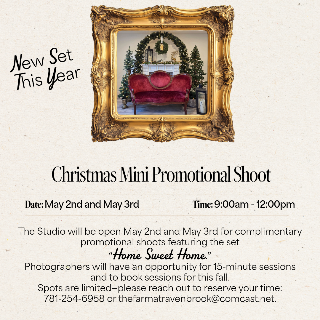 "Home Sweet Home" Christmas Mini Promotional Shoot 