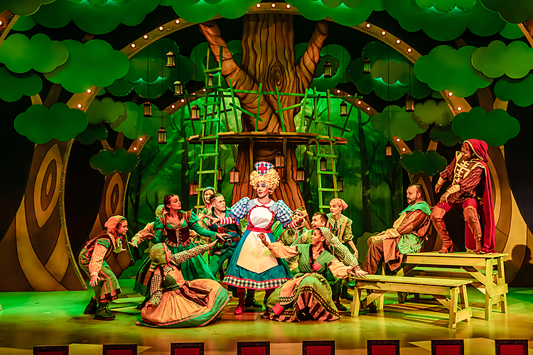 Robin hood(main).png