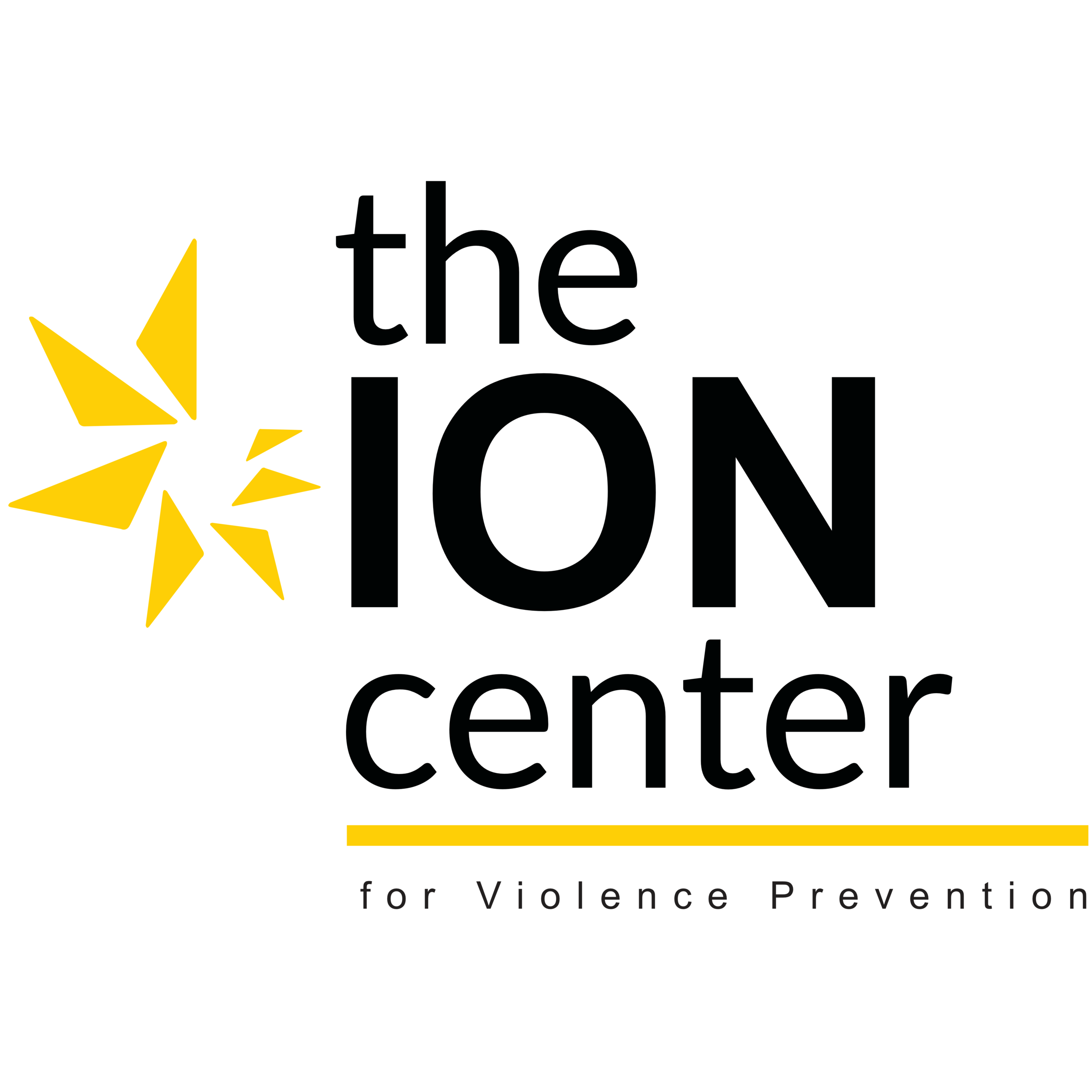 TheIonCenter.png
