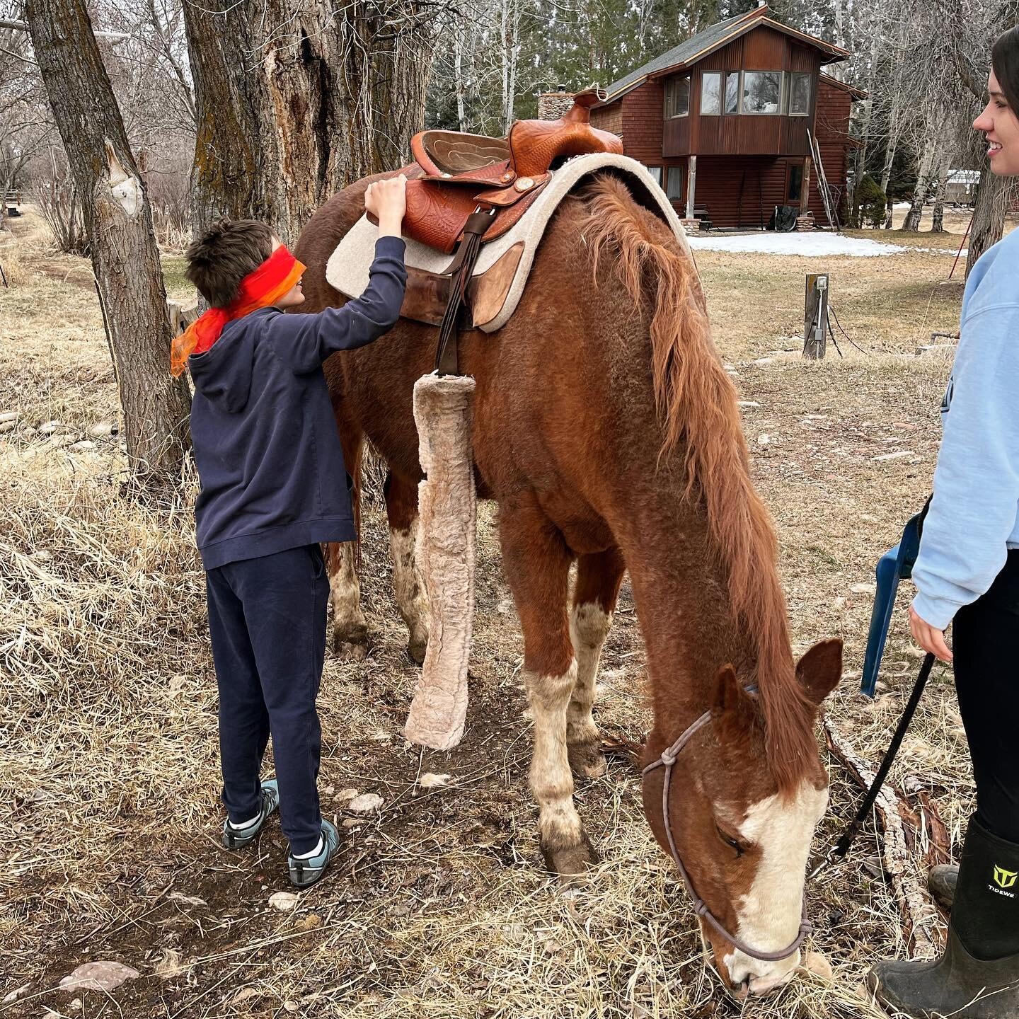 Do you think you could tack a horse blindfolded? Tacking up can be tricky to learn, but being blindfolded takes even more memory, body awareness, and use of your other senses!

#equinetherapy #recreationtherapy #animalassistedtherapy #animalassistedl