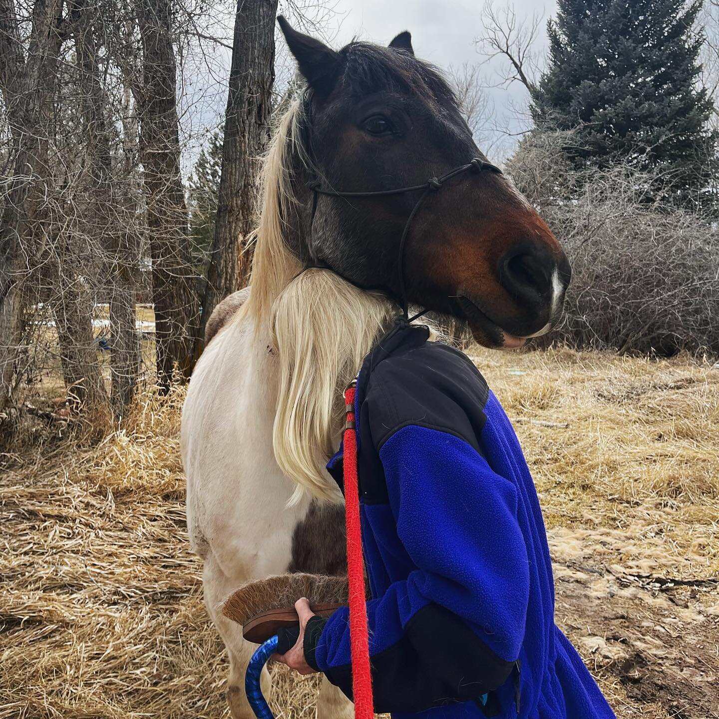 &ldquo;Yesterday was spiritual for me. So very awesome ~ I believe in the power of the healing energy of horses. I felt  so relaxed and calm inside. He intuitively rested his head on mine helping to heal my brain injury ~ that&rsquo;s where my balanc