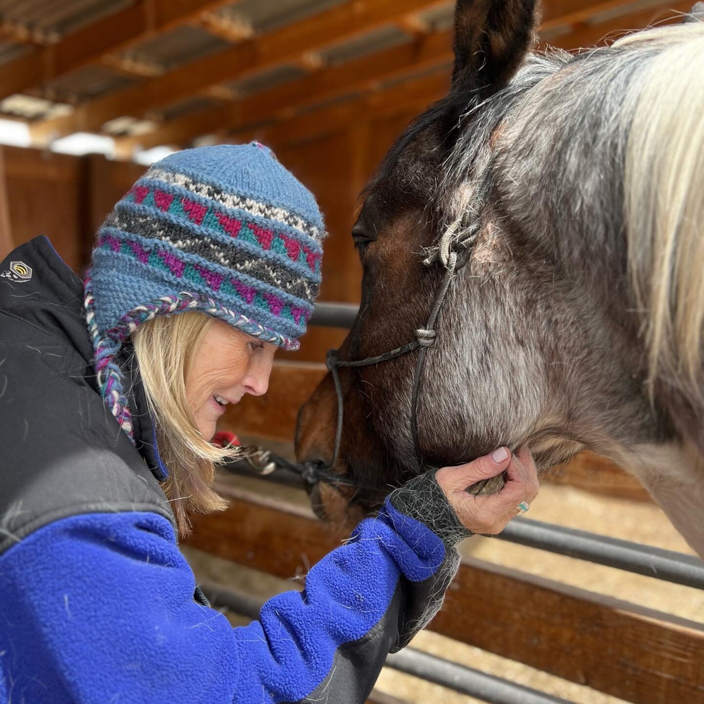 Happy 14th birthday TK! Living up to his name, our Takoda truly is a friend of all ❤️🎂

#equinetherapy #rectherapy #therapyhorse #egala #equineassistedpsychotherapy #equineassistedlearning #painthorseproud #apha #horsesofinstagram #happybirthday #bi