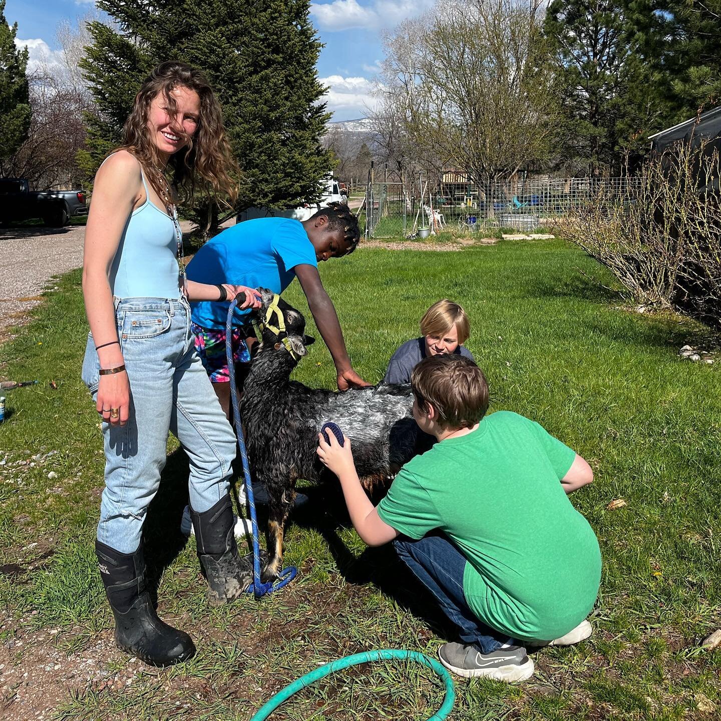 Goat bath day! 🐐🛁
Our junior volunteers helped get Lester, Tinkerbell, and Wendy sparkling for the pride parade at the Carbondale Family Block Party this Friday! Come on out and join us for the parade and First Friday celebration, or participate in