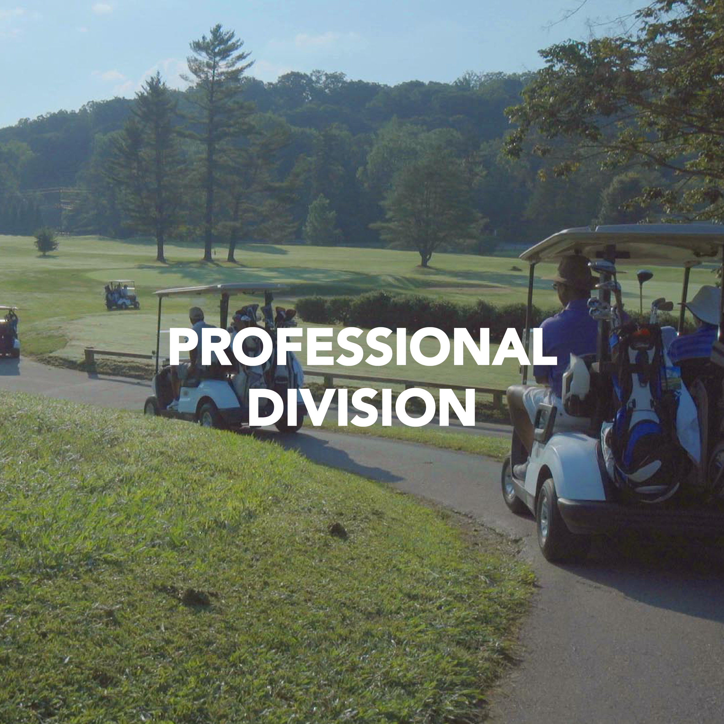 Professional Division