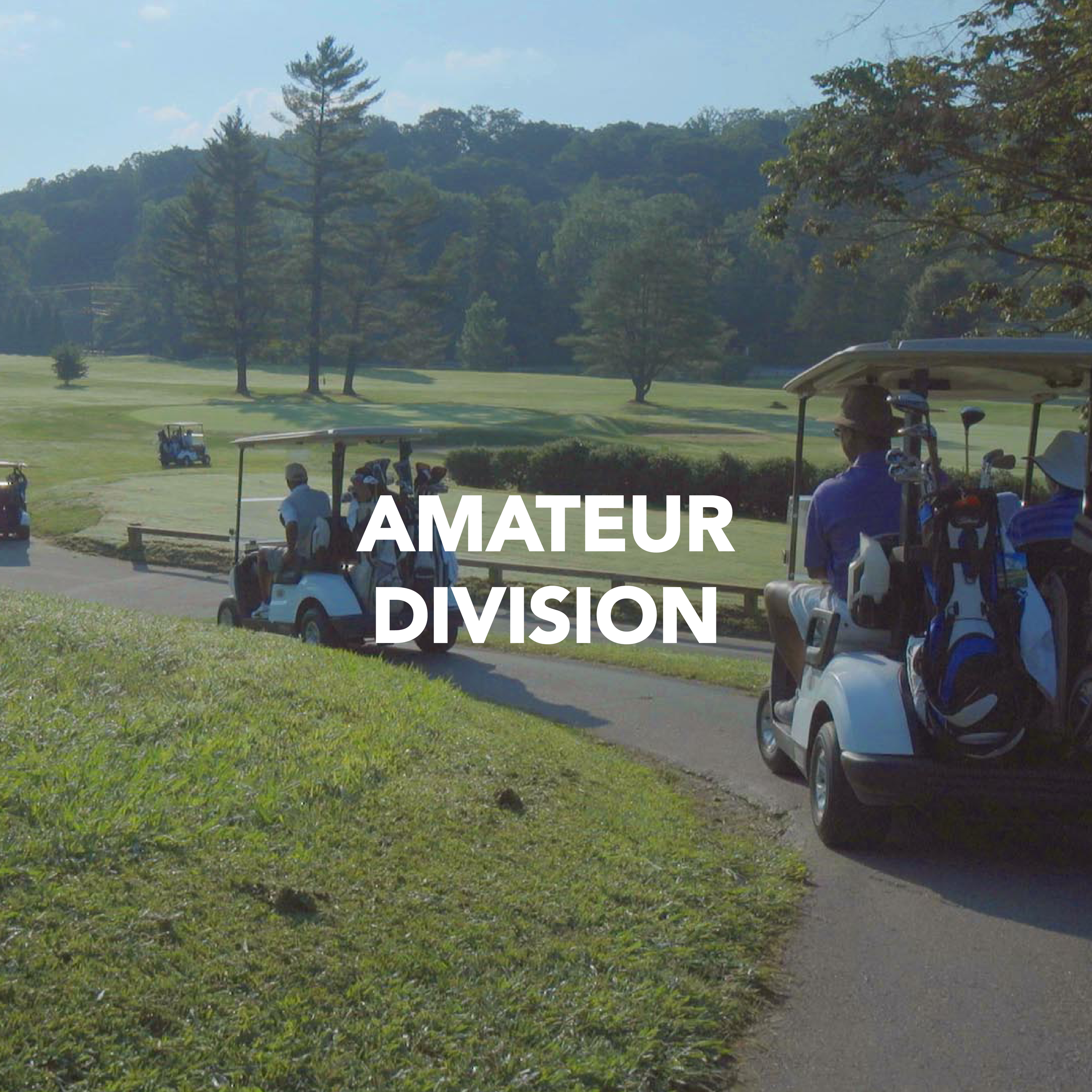 Amateur Division