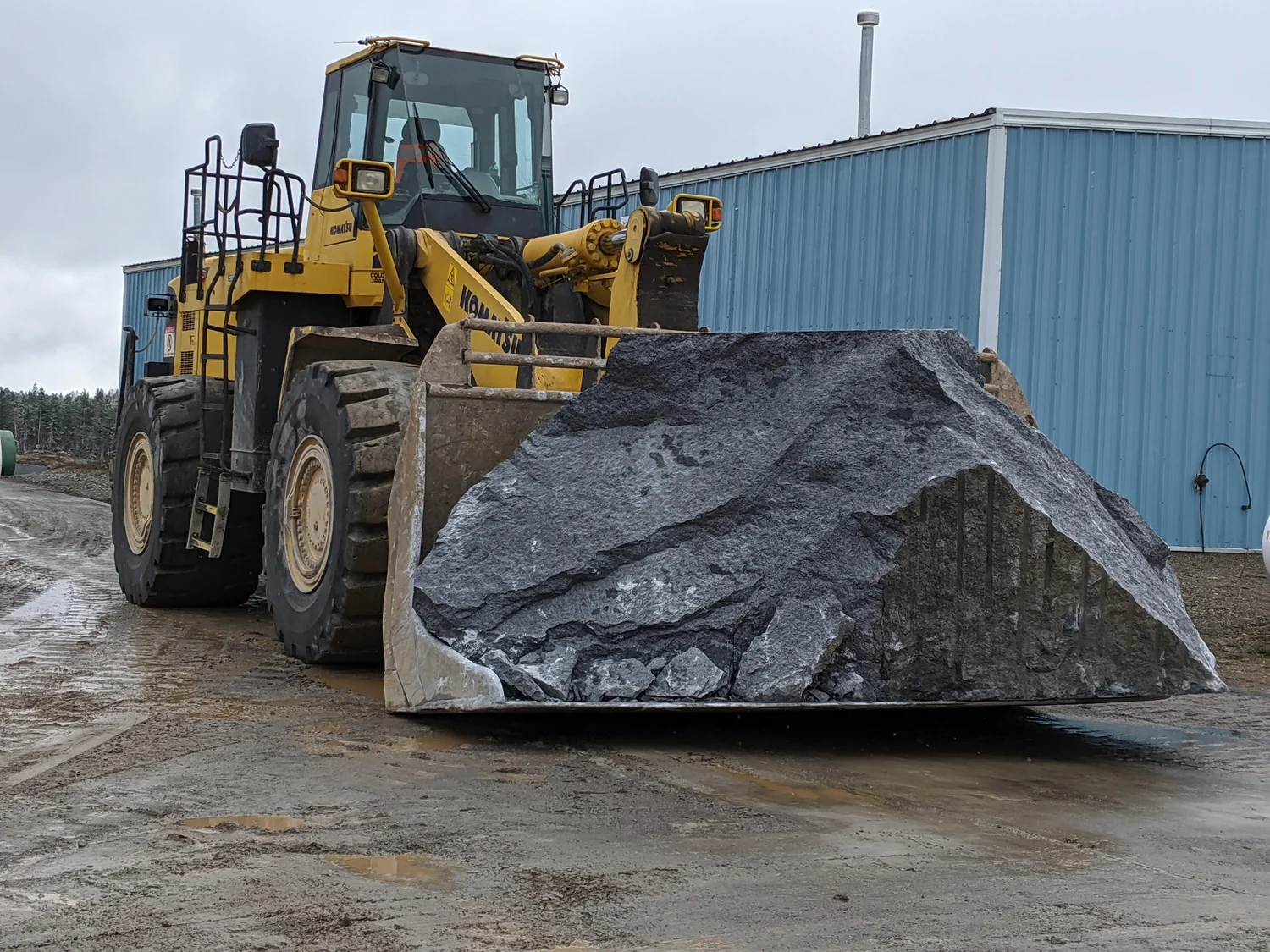 Durable Rocks Rock Solid: How Armor Stones Provide a Natural Defense Against Coastal ...