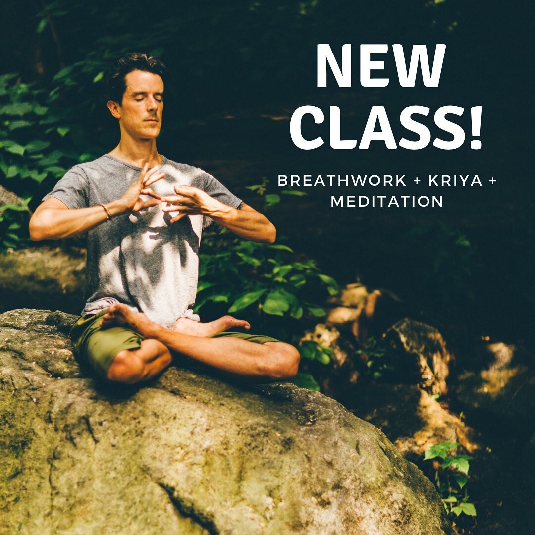 Los Angeles yogis: My new breathwork, kriya and meditation class starts tomorrow @rouseyogala 💨⁣
⁣⁣
A dynamic series of seated practices will help us to ground, expand, elevate and tap into our inherent bliss nature. The best way to start your weeke