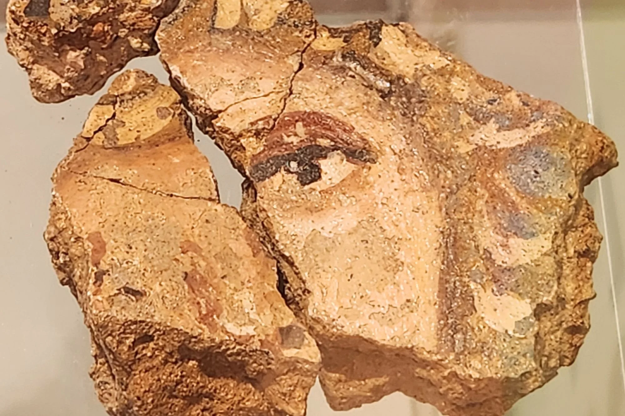 The Friends of West Hunsbury Parks