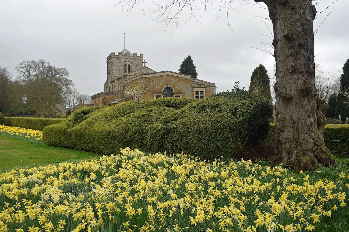 Church with daffodils in foreground