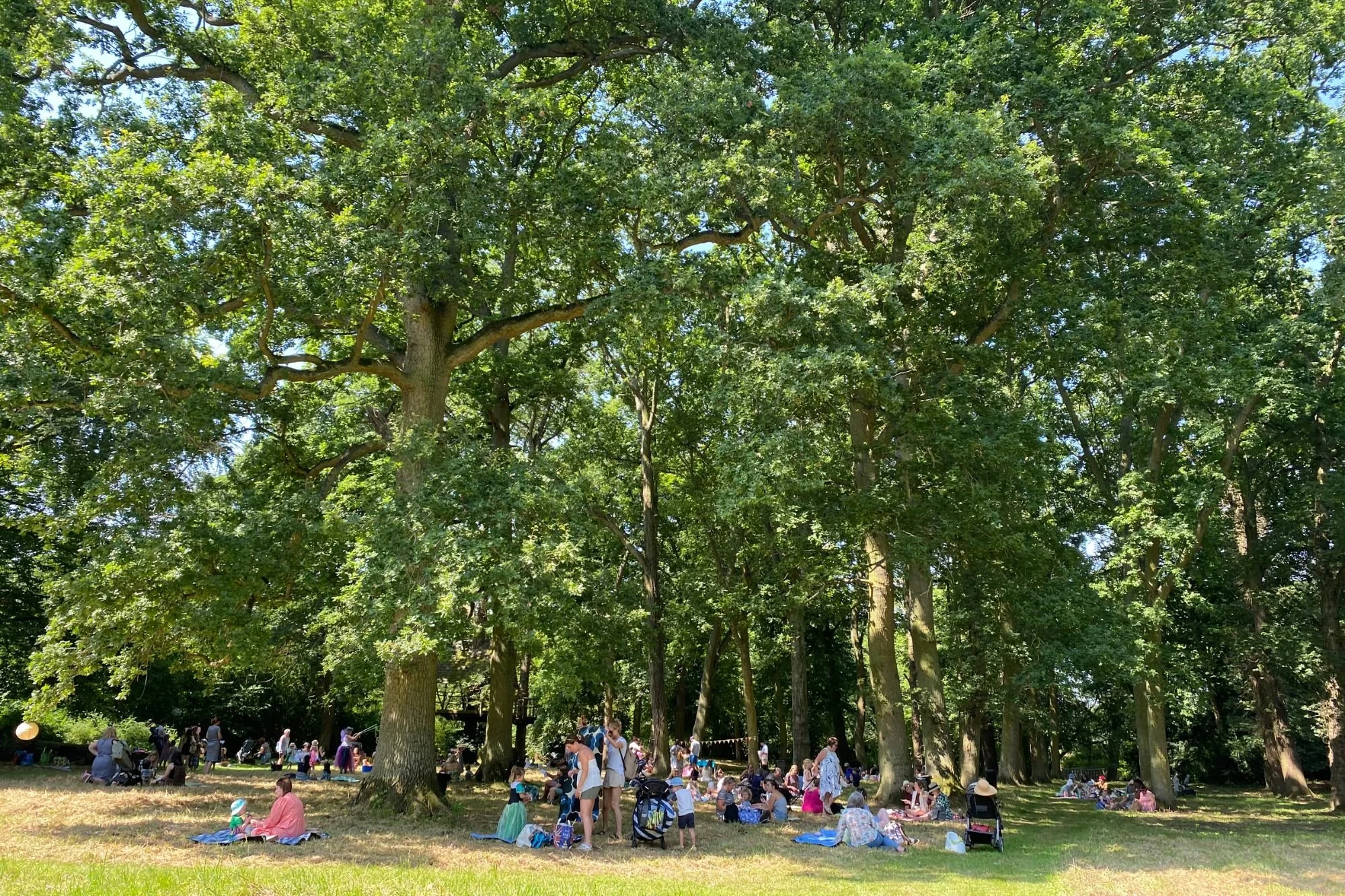 Families picnicking under the trees in the woodland at Kelmarsh