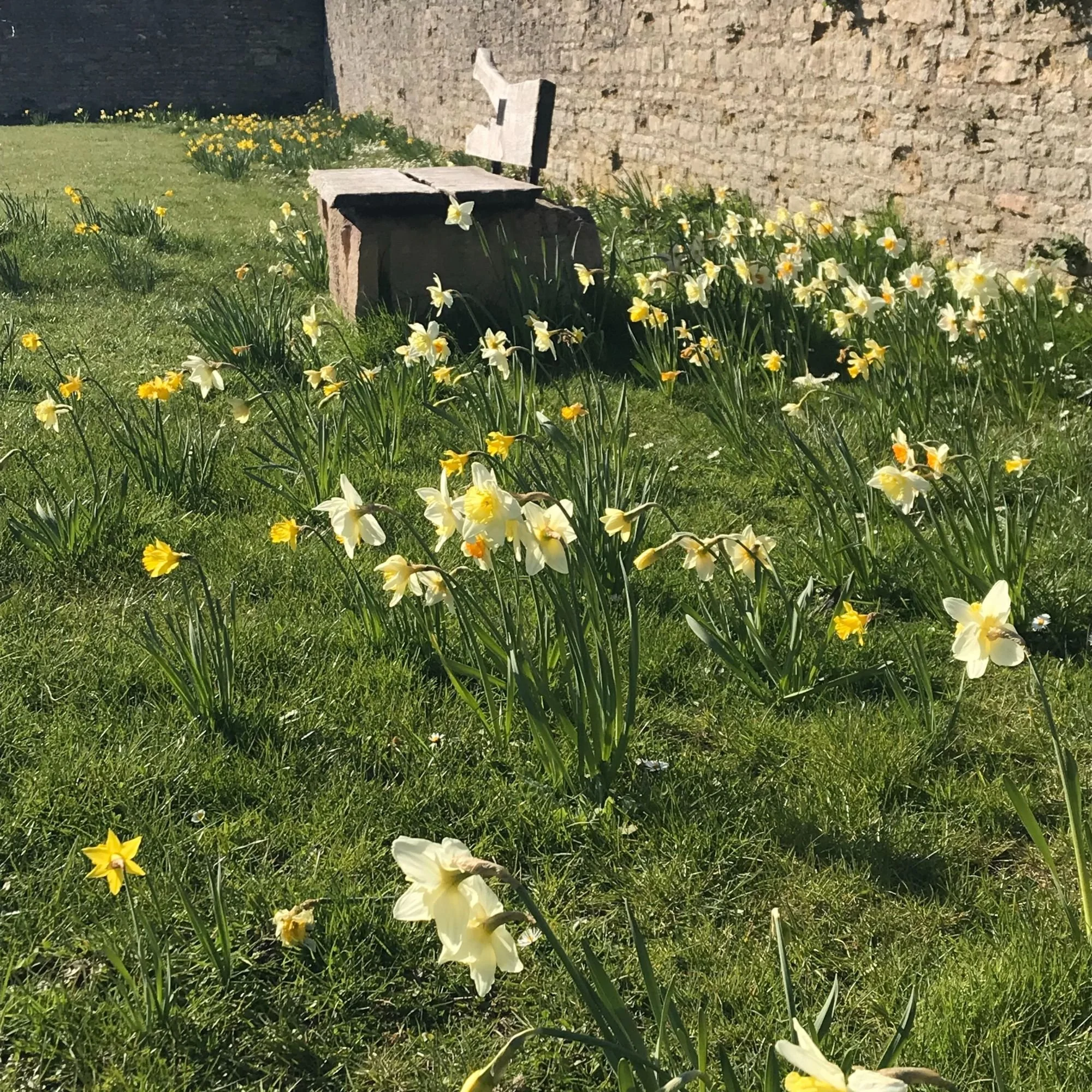 Chichele College Garden